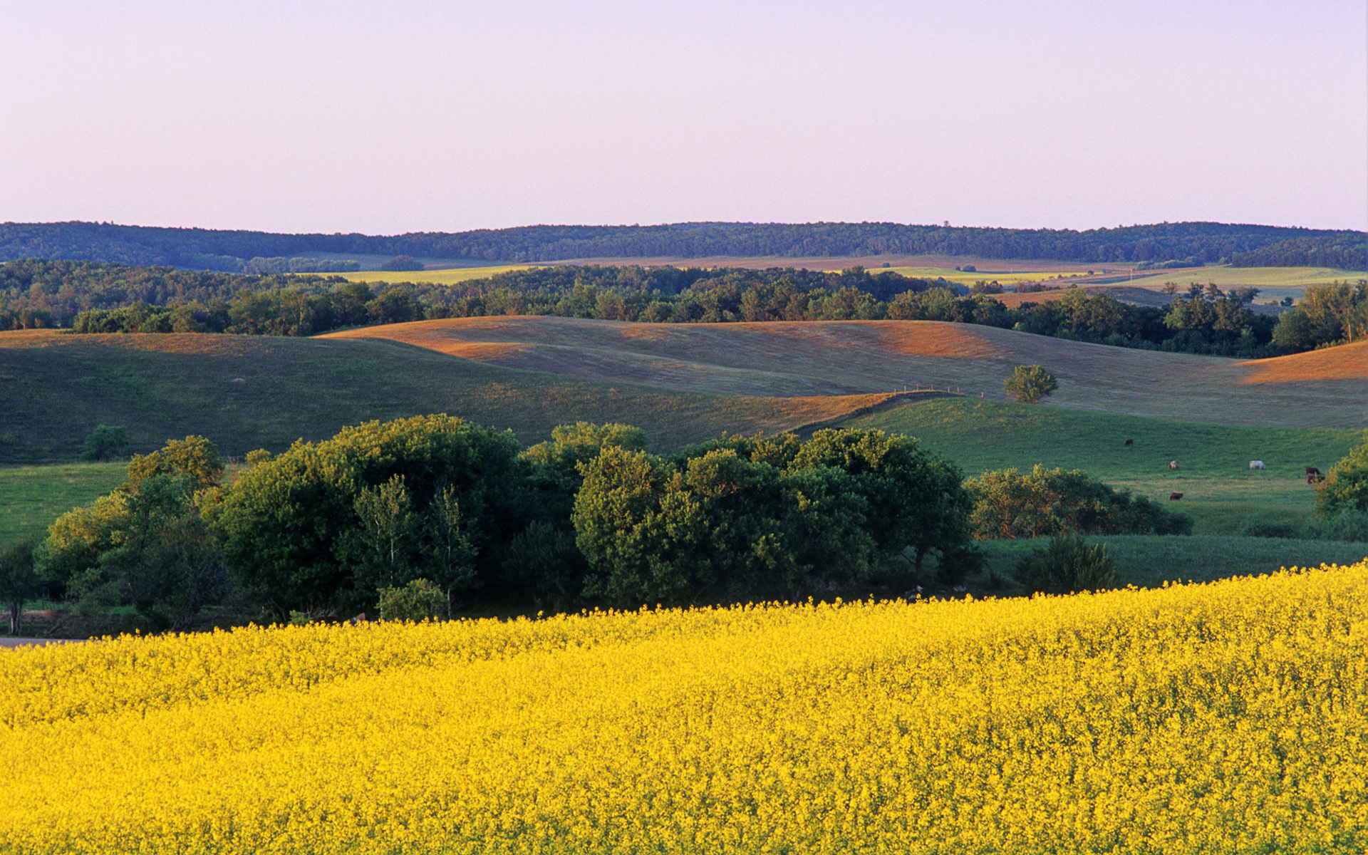 Laden Sie das Landschaft, Erde/natur-Bild kostenlos auf Ihren PC-Desktop herunter