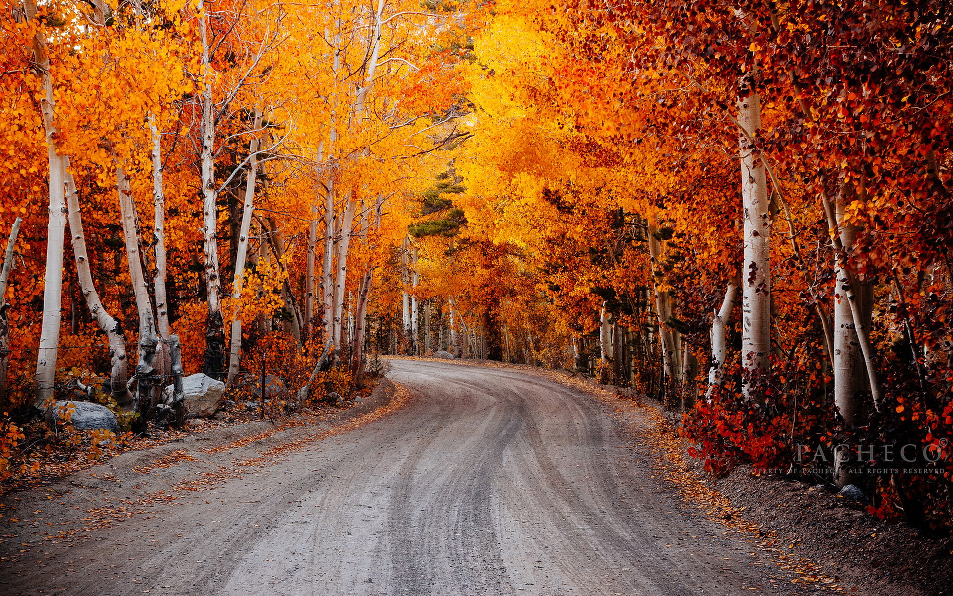 Free download wallpaper Landscape, Road, Tree, Fall, Colors, Man Made on your PC desktop