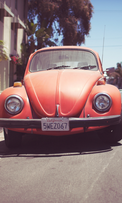 Baixar papel de parede para celular de Volkswagen, Fusca, Veículos gratuito.