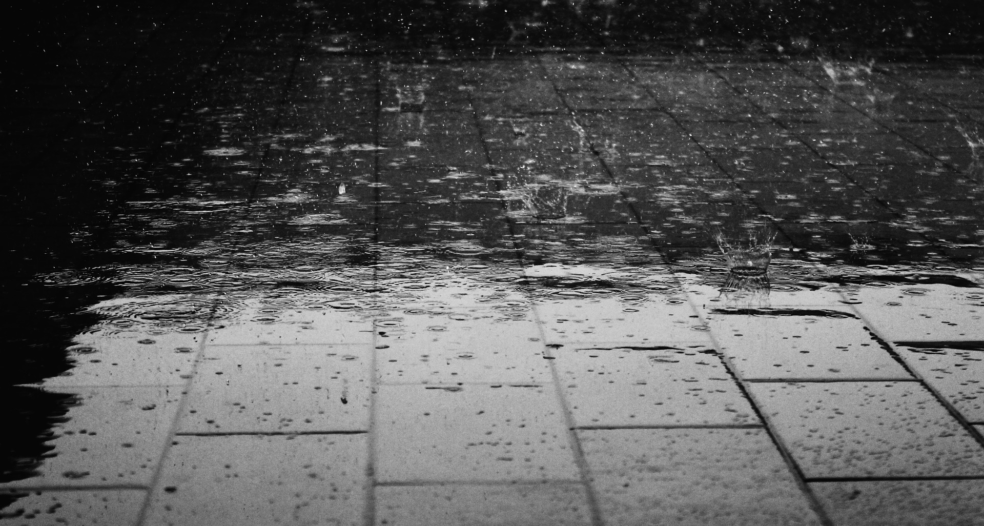 Download mobile wallpaper Water, Rain, Photography, Water Drop, Black & White for free.