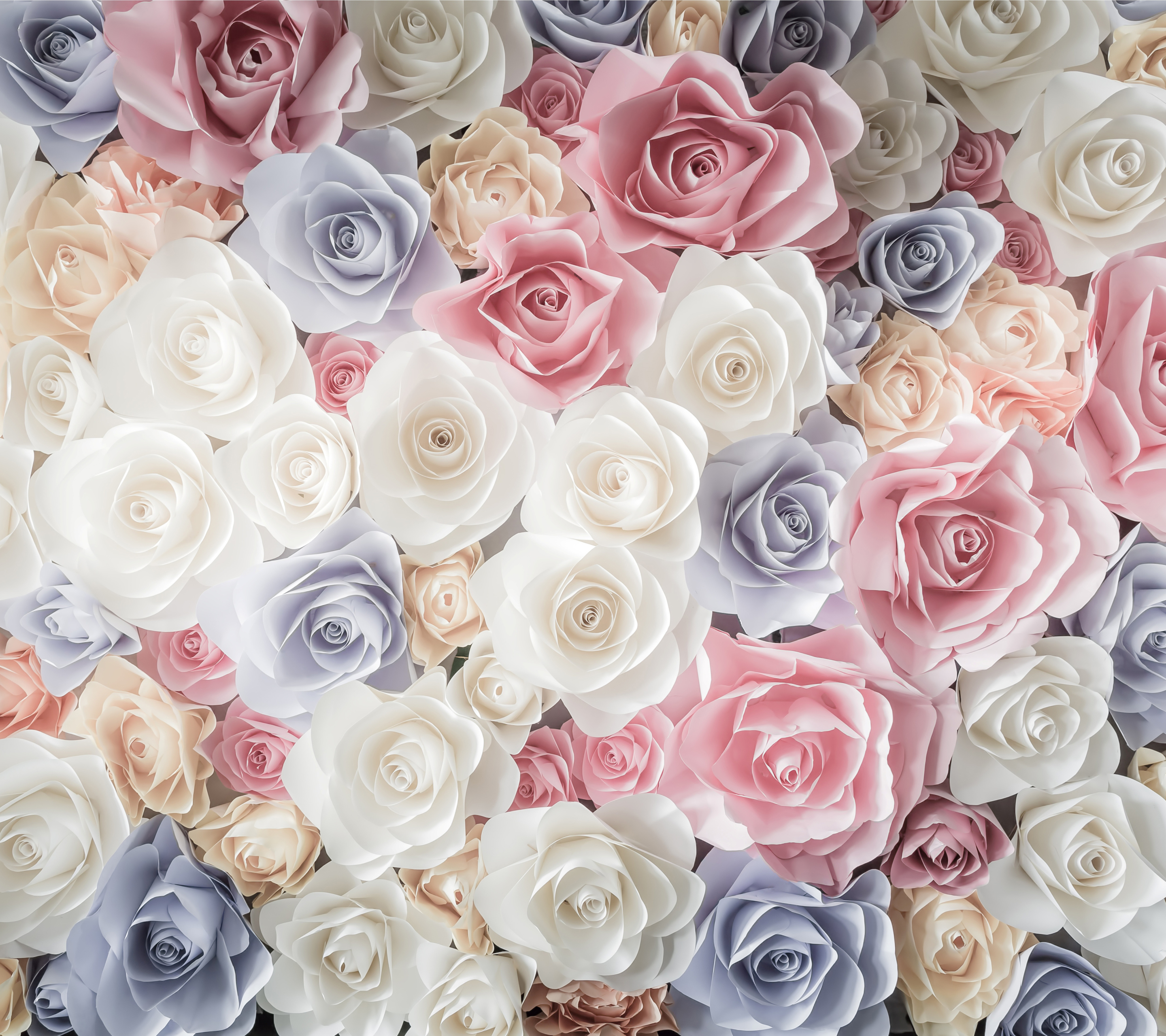 Download mobile wallpaper Flowers, Flower, Rose, Earth, White Flower, Pink Flower, Blue Flower for free.
