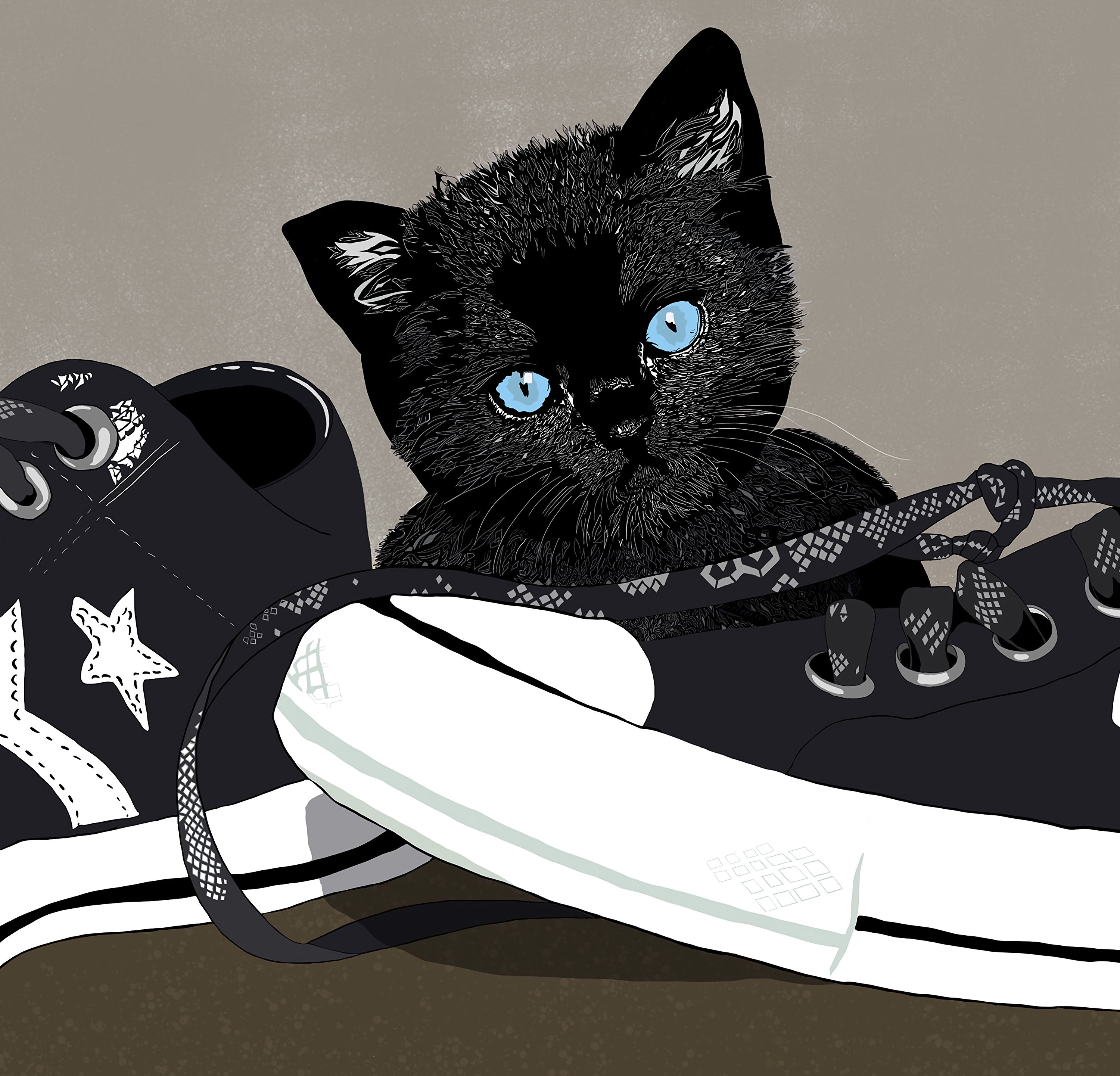 shoes, nice, illustration, art, kitty, kitten, sneakers, sweetheart