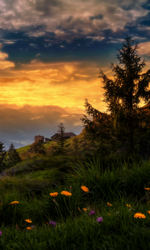 Download mobile wallpaper Landscape, Sunset, Mountain, Flower, Tree, Earth, Switzerland, Valley, Cloud, Countryside for free.