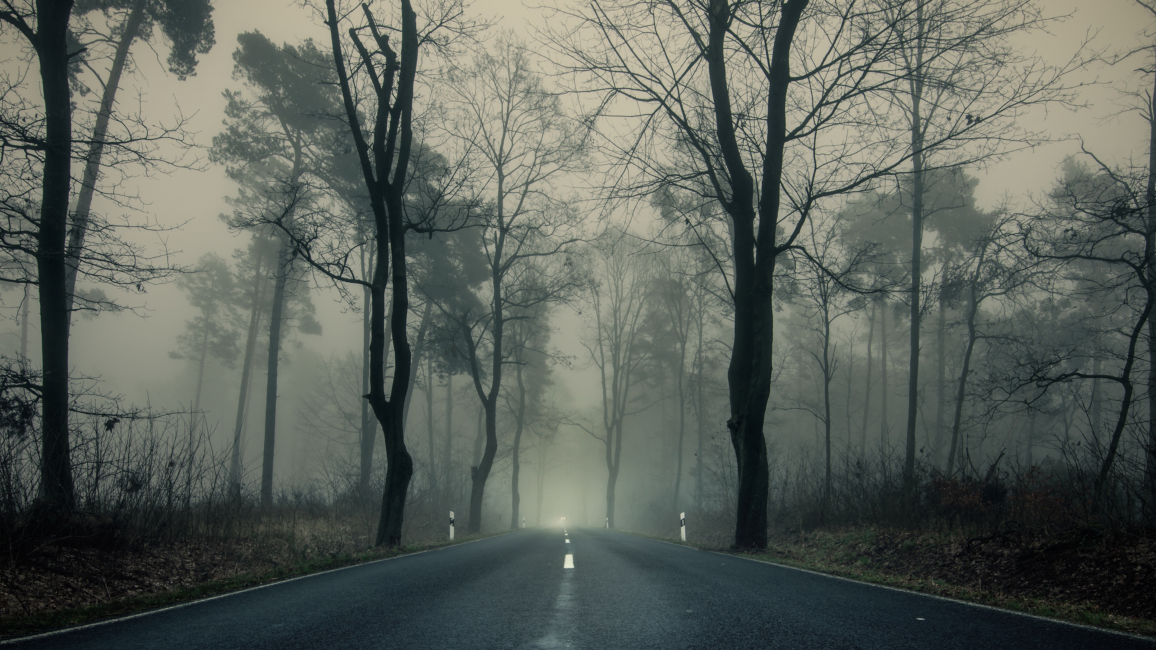 Free download wallpaper Road, Fog, Man Made on your PC desktop