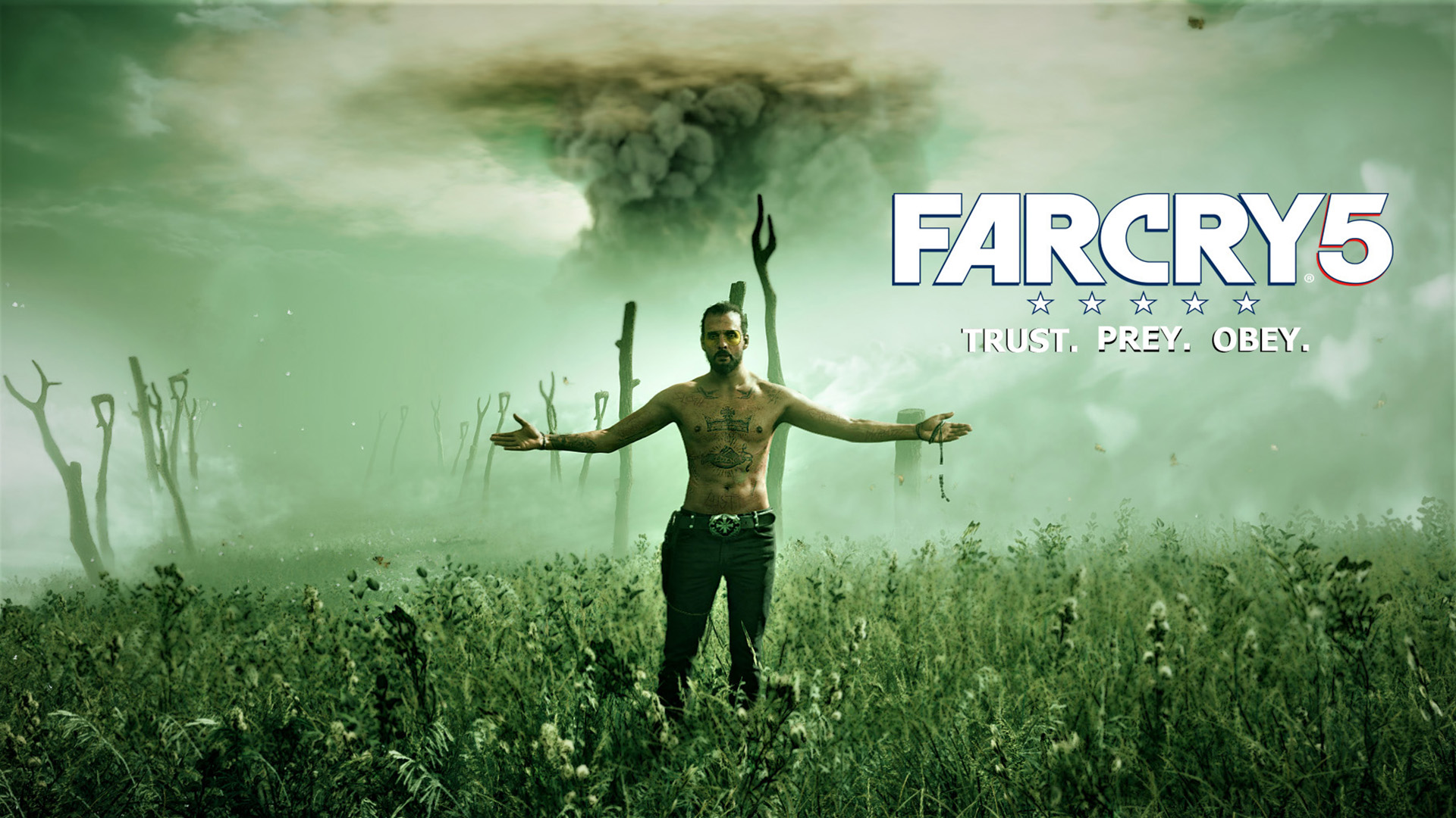Download mobile wallpaper Video Game, Far Cry 5 for free.