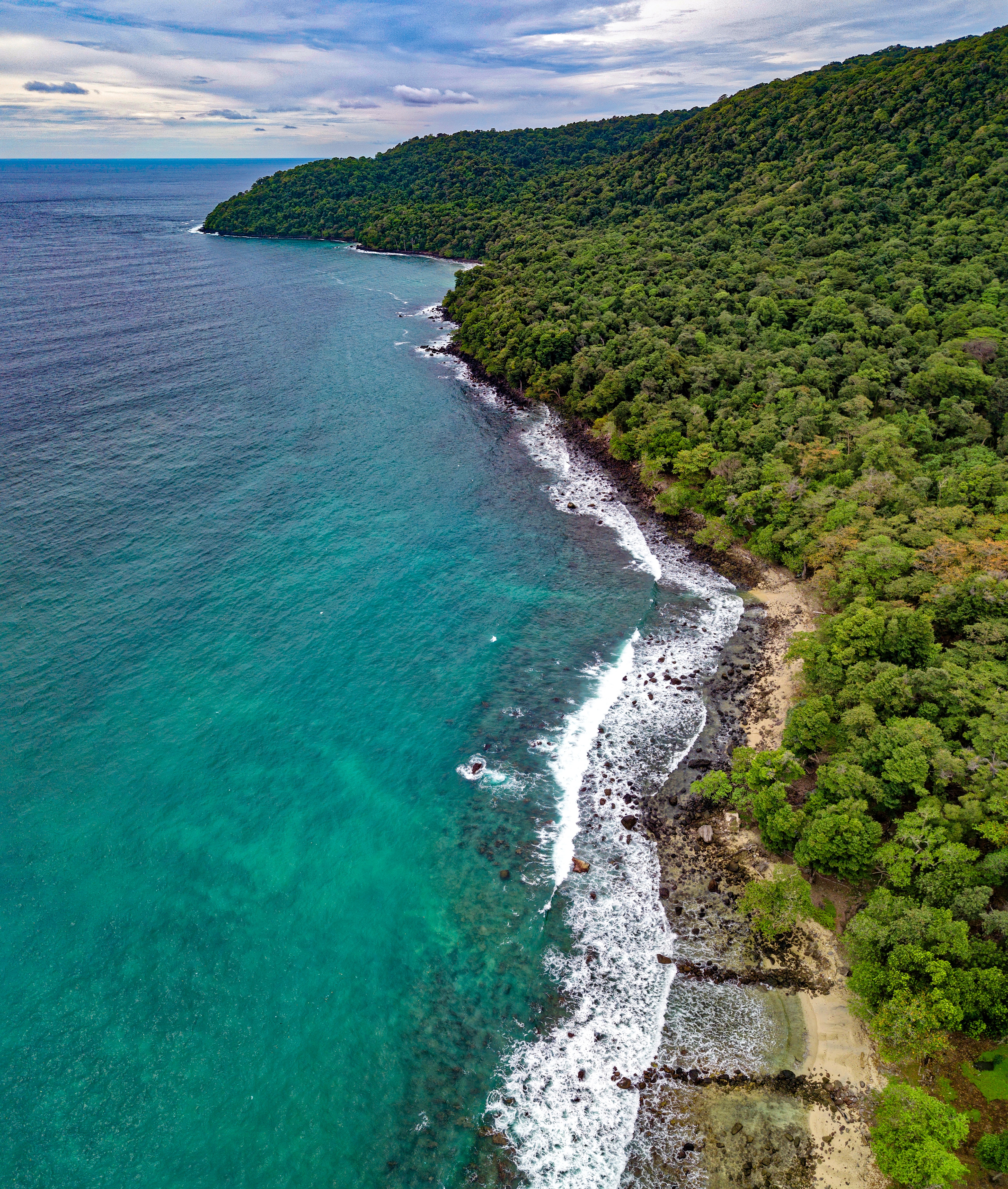 vegetation, beach, nature, view from above, shore, bank, ocean UHD
