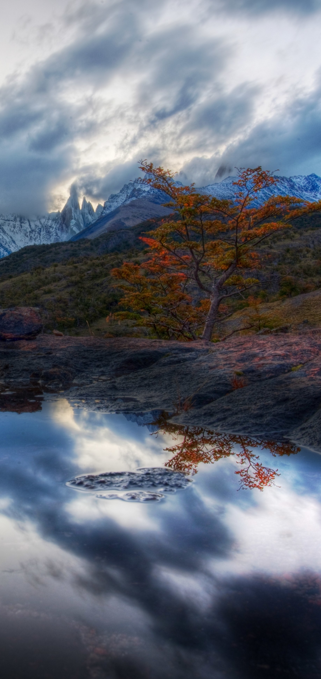 Descarga gratuita de fondo de pantalla para móvil de Tierra/naturaleza, Reflejo.