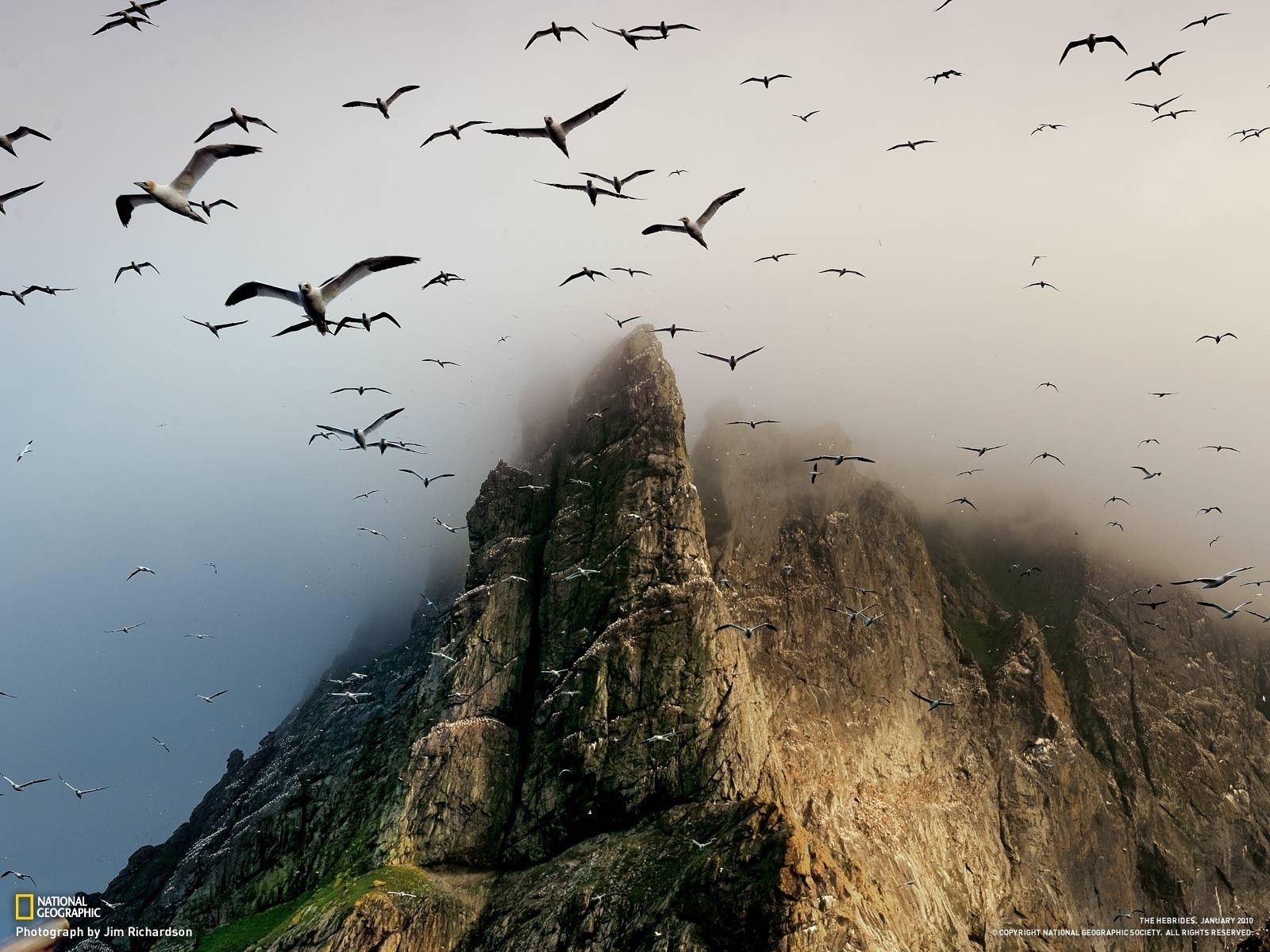 Free download wallpaper Landscape, Mountains, Seagulls on your PC desktop