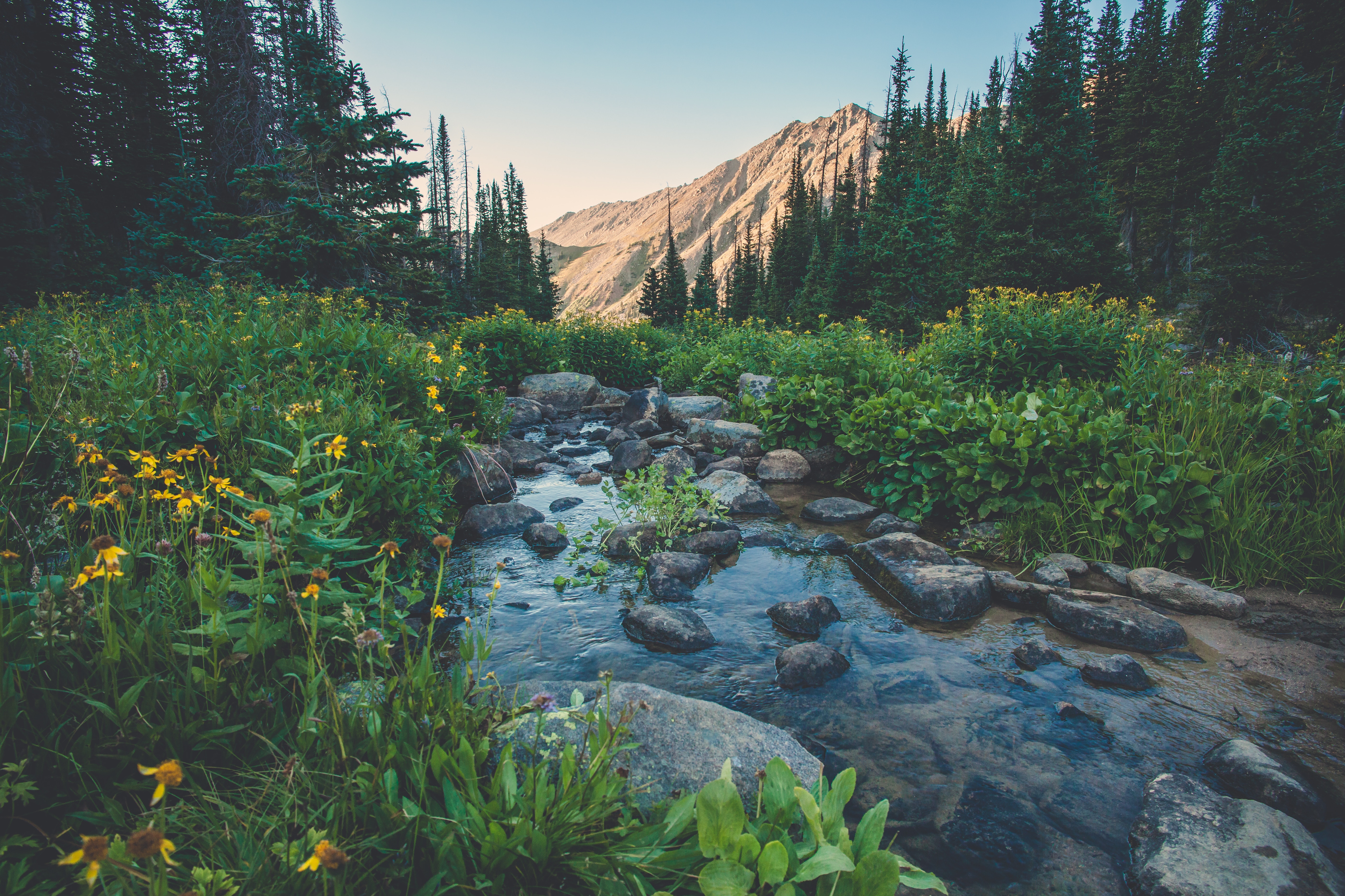 Download mobile wallpaper Brook, Creek, Grass, Mountains, Nature, Flowers for free.