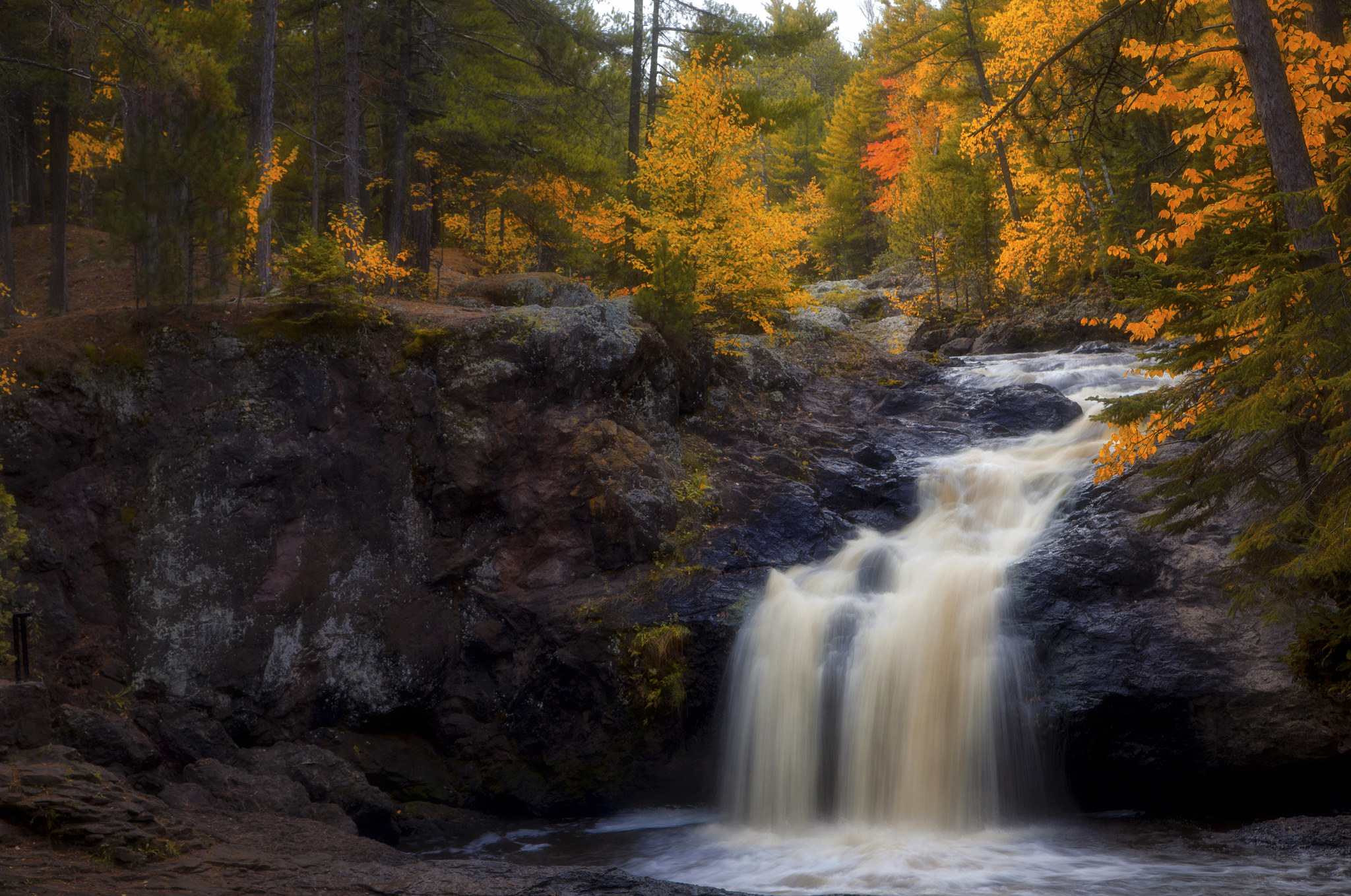 Download mobile wallpaper Waterfalls, Waterfall, Forest, Tree, Fall, Earth for free.