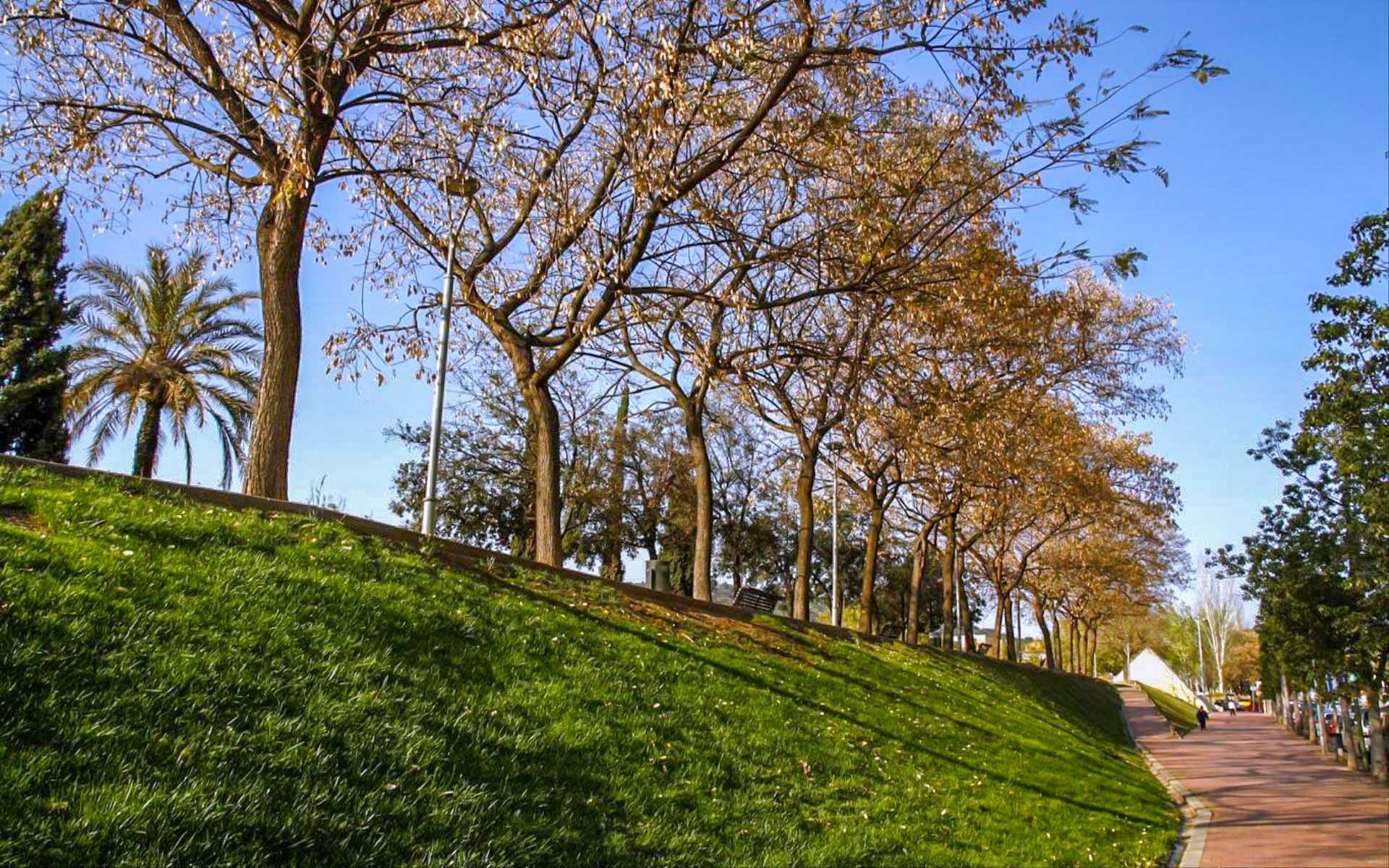 Laden Sie das Park, Fotografie-Bild kostenlos auf Ihren PC-Desktop herunter