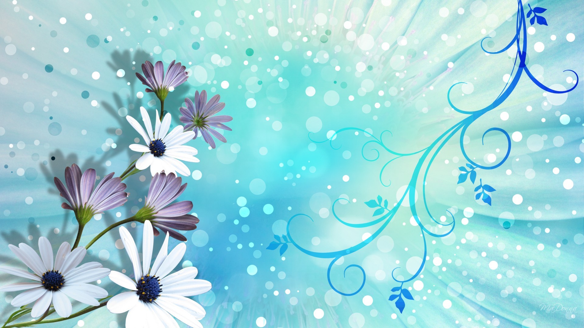 Download mobile wallpaper Flowers, Flower, Purple, Artistic, Daisy for free.