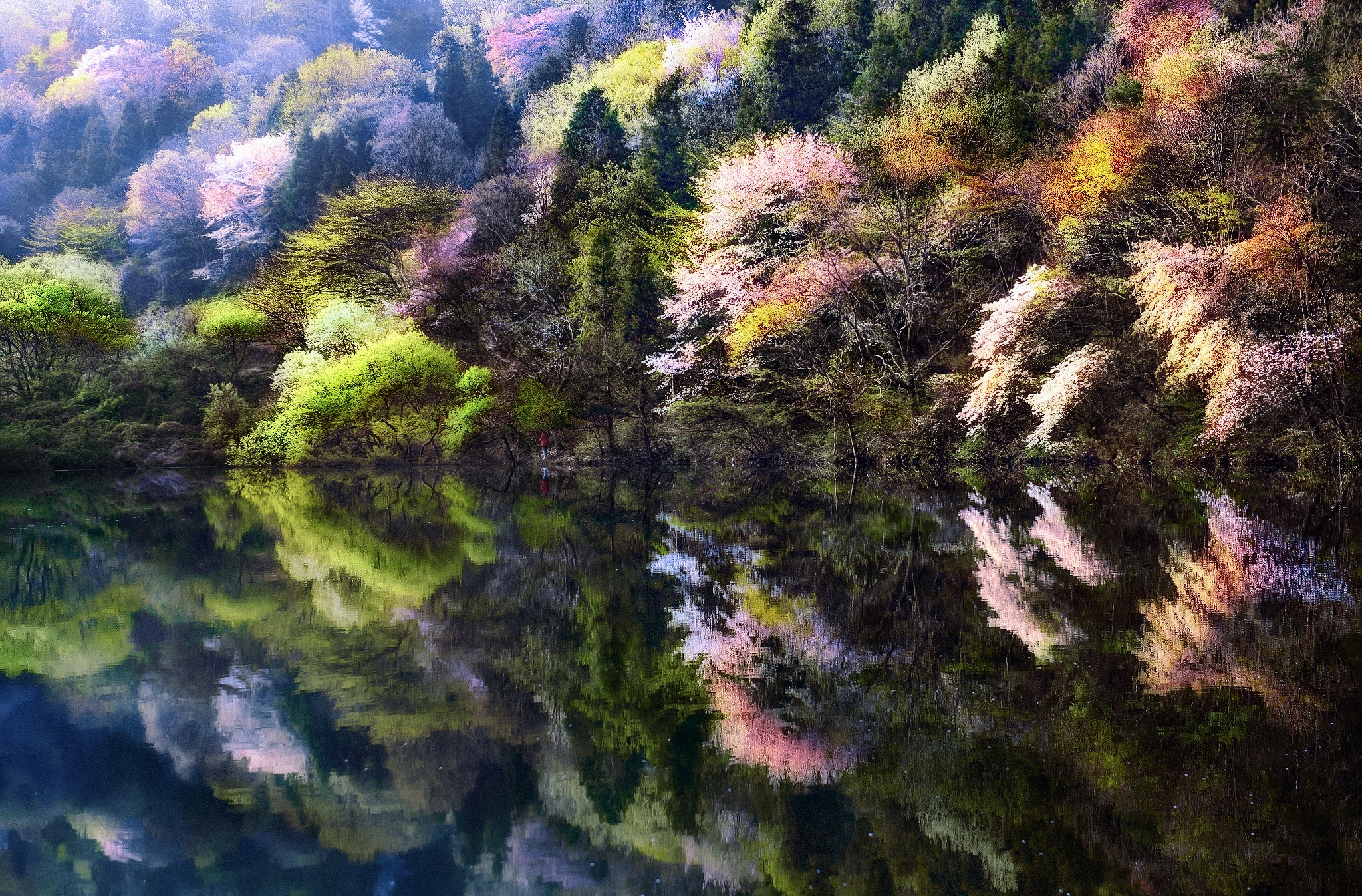 Скачать обои бесплатно Природа, Озеро, Отражение, Весна, Земля/природа, Республика Корея картинка на рабочий стол ПК