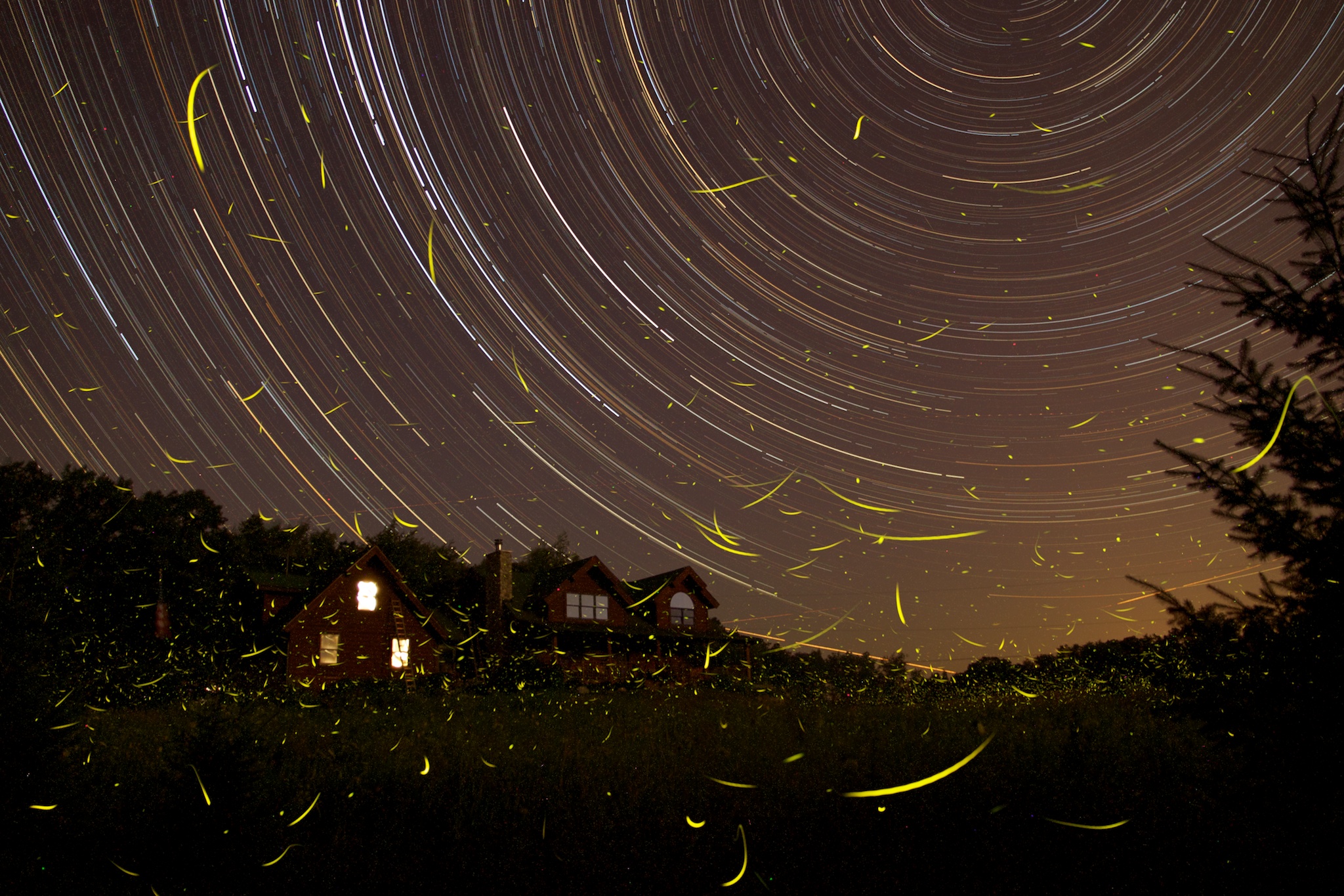 Free download wallpaper Stars, Night, Light, Leaf, House, Sci Fi, Time Lapse on your PC desktop