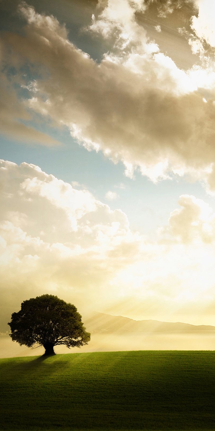 Handy-Wallpaper Natur, Künstlerisch kostenlos herunterladen.