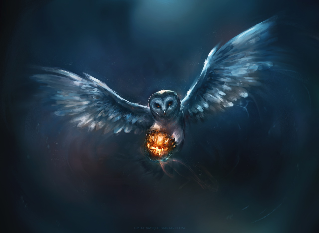 Free download wallpaper Owl, Animal on your PC desktop