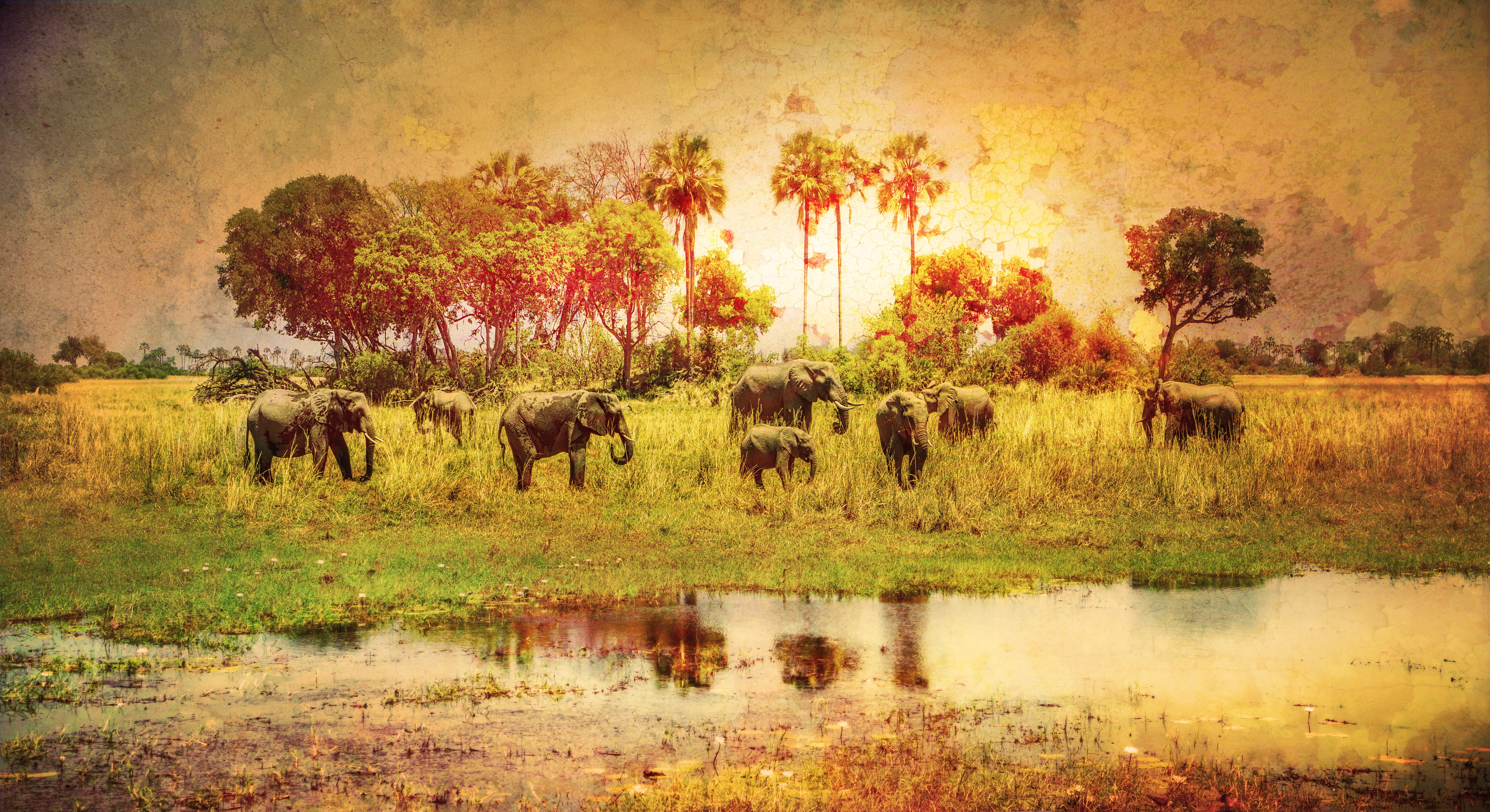 378120 Fondos de pantalla e Elefante Africano De Sabana imágenes en el escritorio. Descarga protectores de pantalla  en tu PC gratis