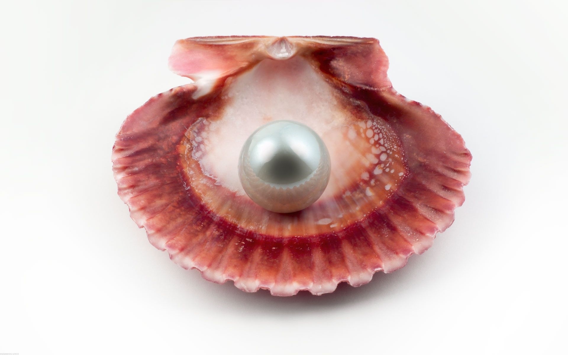 Laden Sie das Pearls, Objekte-Bild kostenlos auf Ihren PC-Desktop herunter