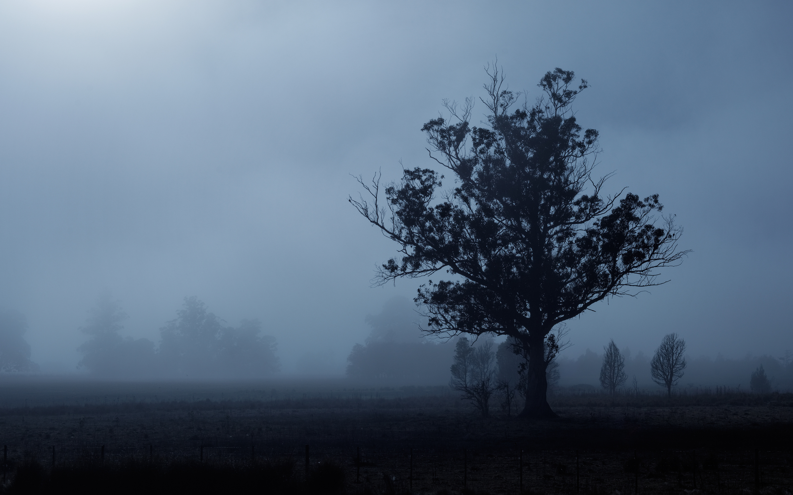 Free download wallpaper Fog, Earth on your PC desktop