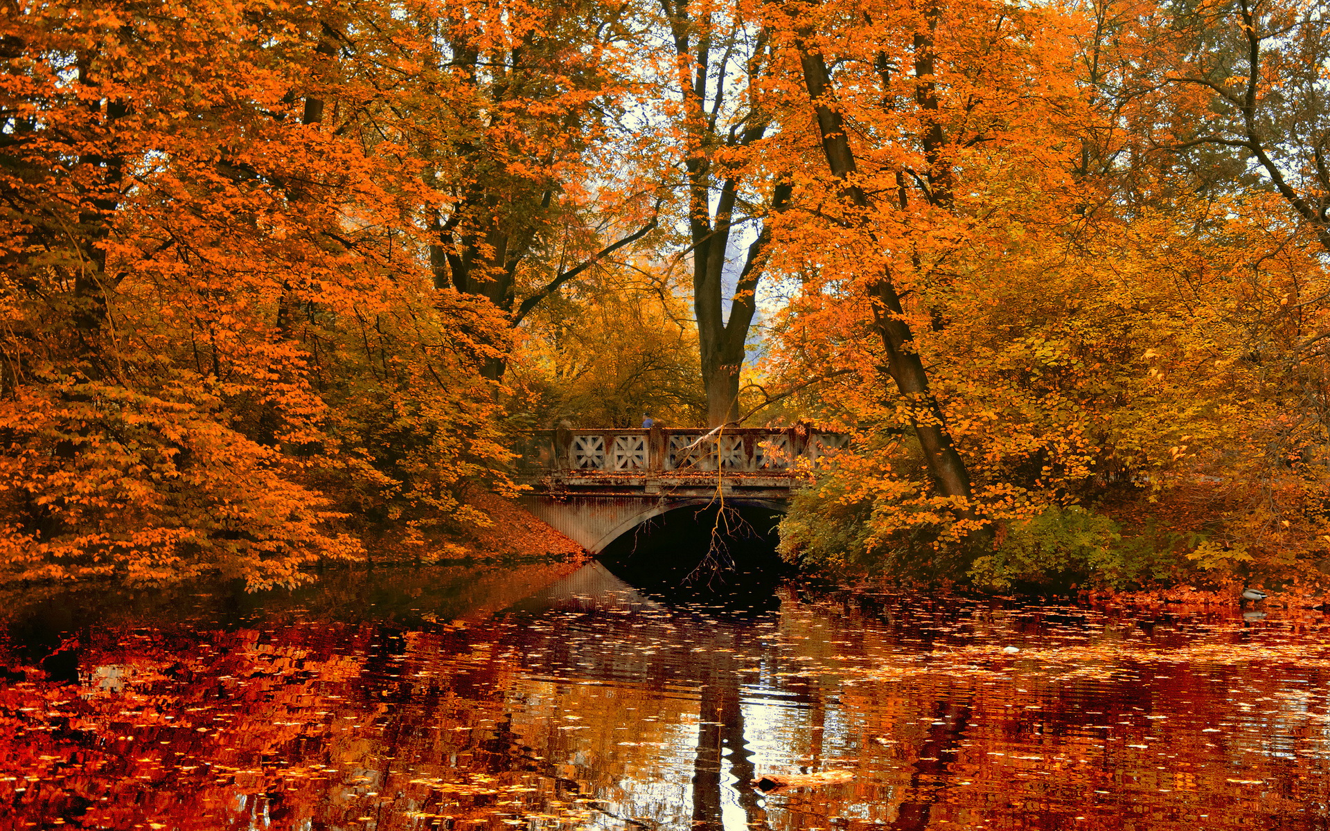 Laden Sie das Park, Fotografie-Bild kostenlos auf Ihren PC-Desktop herunter