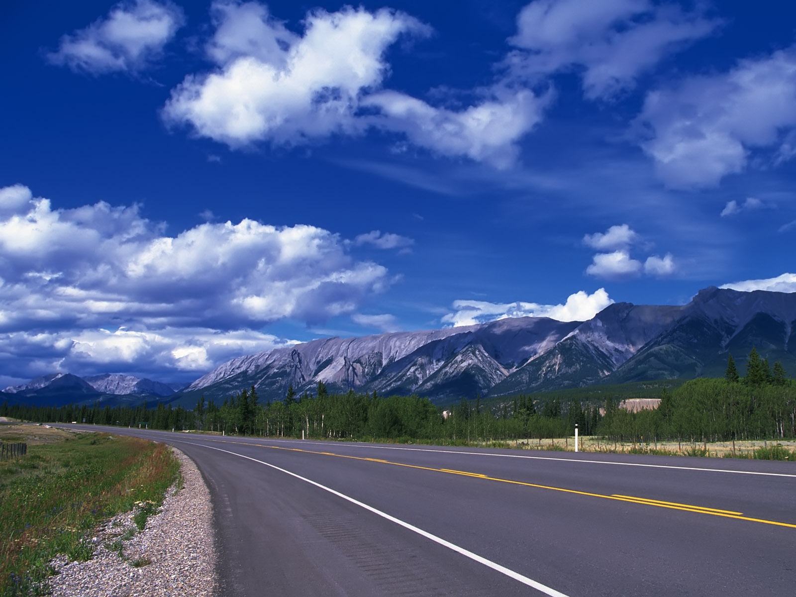 Descarga gratis la imagen Montaña, Bosque, Carretera, Hecho Por El Hombre en el escritorio de tu PC