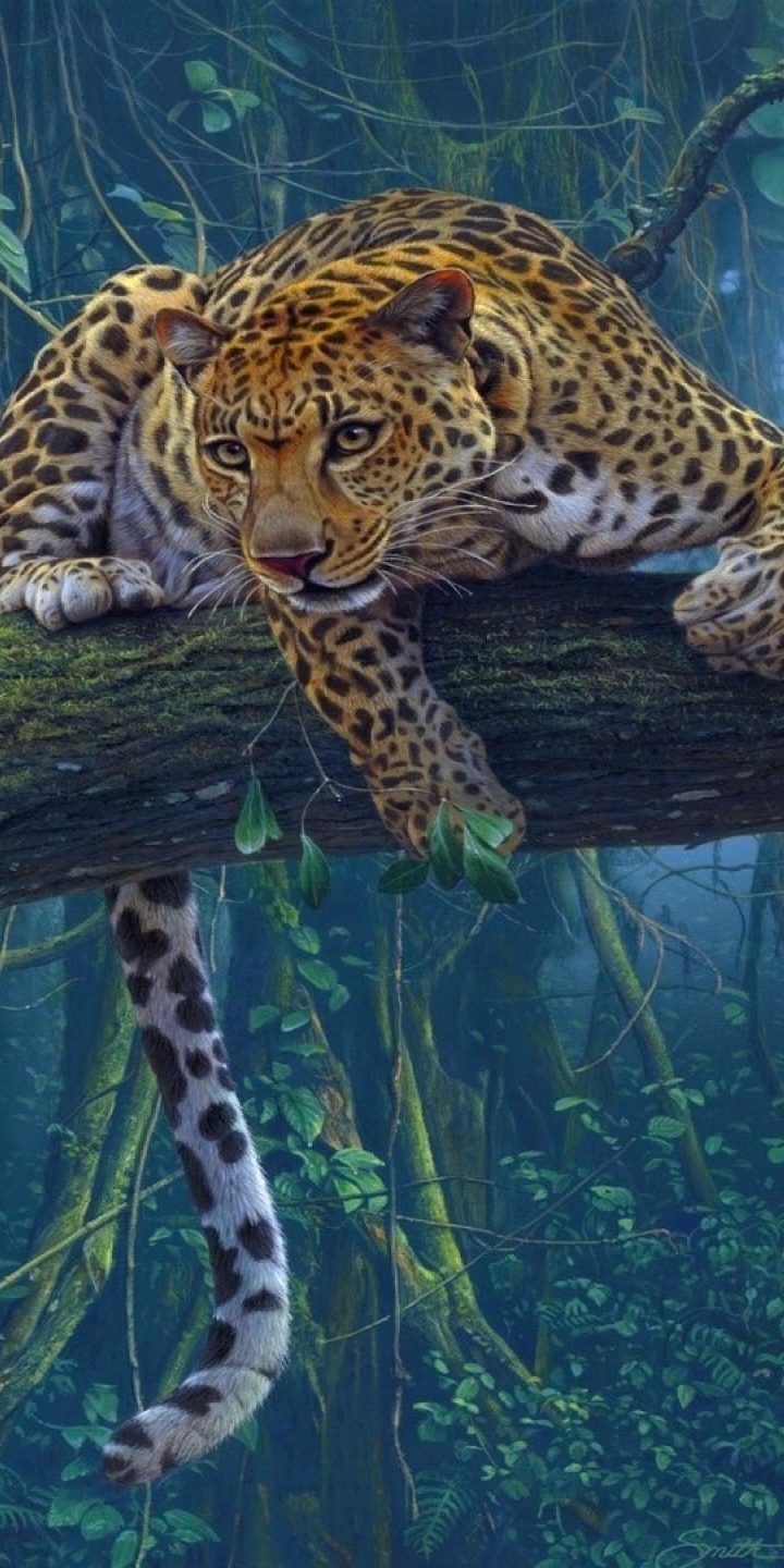 Descarga gratuita de fondo de pantalla para móvil de Animales, Gatos, Leopardo.