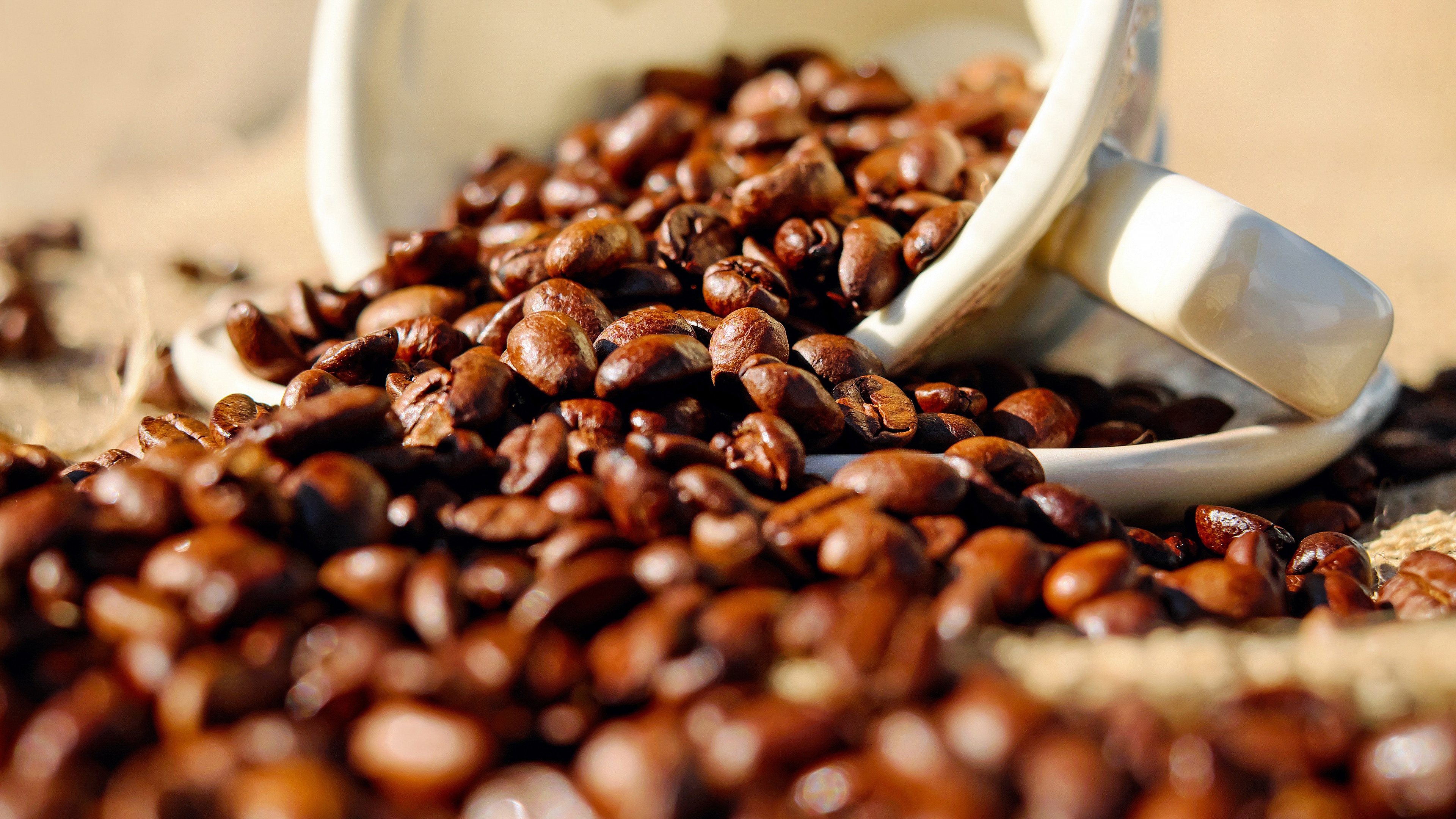 Download mobile wallpaper Food, Coffee, Coffee Beans, Mug for free.