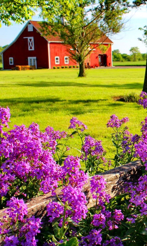 Download mobile wallpaper Flowers, Lilac, Bush, Flower, Earth, Field, Fence, Country, Barn, Countryside, Pink Flower for free.
