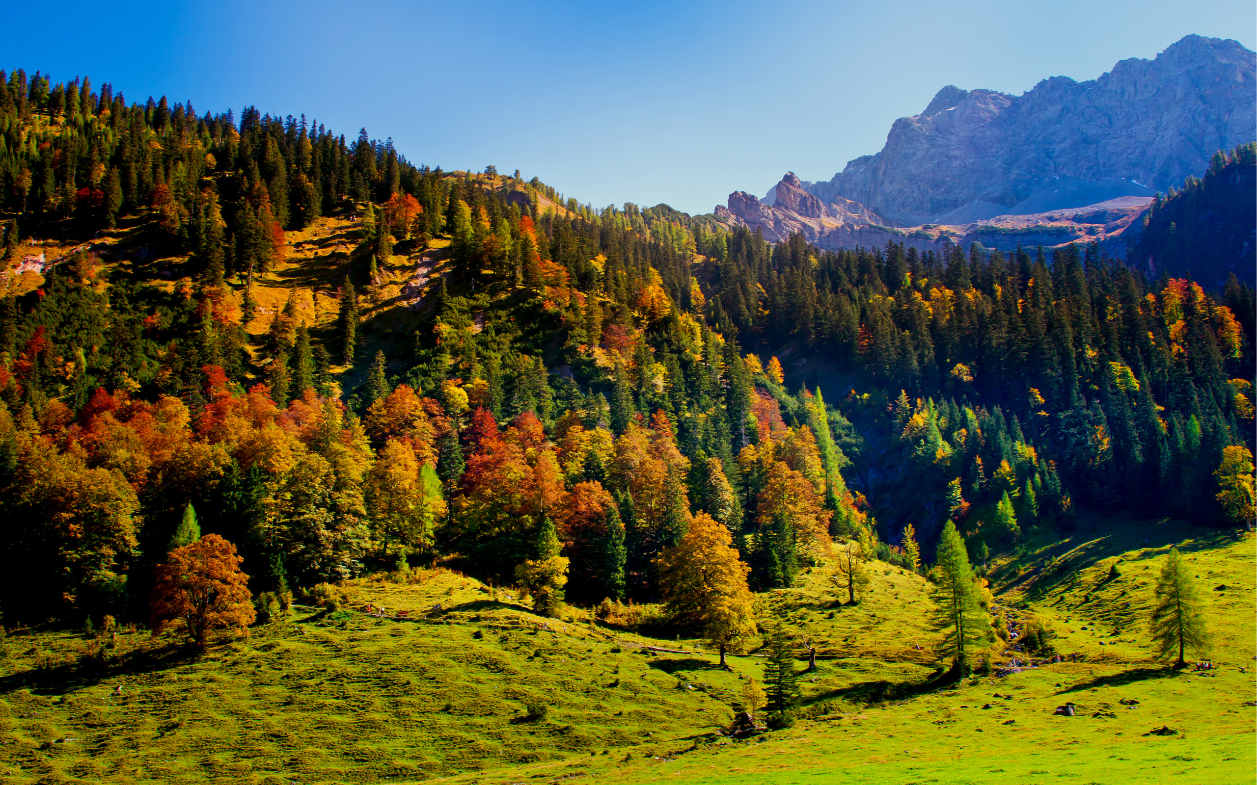 Handy-Wallpaper Herbst, Wald, Gebirge, Erde/natur, Himmel, Landschaft kostenlos herunterladen.