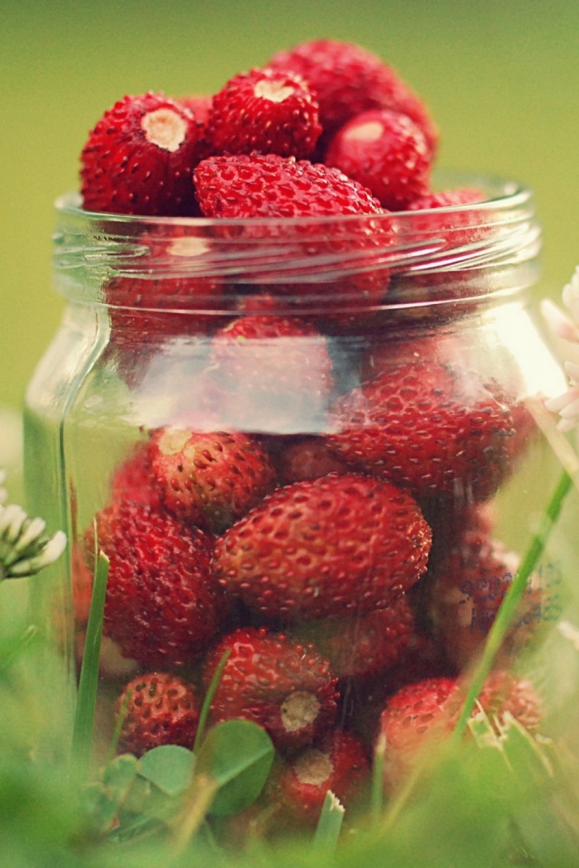 Download mobile wallpaper Fruits, Food, Strawberry, Fruit for free.