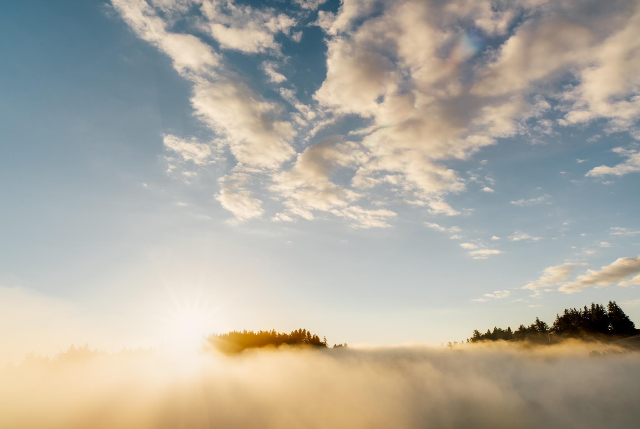 Handy-Wallpaper Natur, Nebel, Wolke, Himmel, Sonnenstrahl, Erde/natur kostenlos herunterladen.