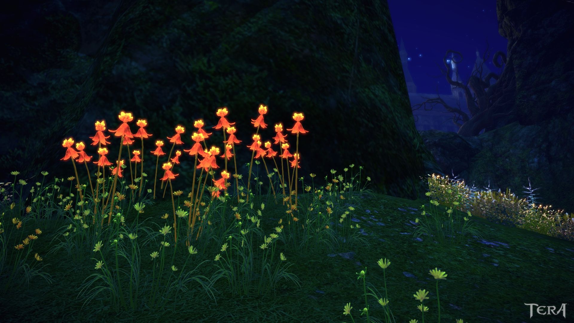 Download mobile wallpaper Flower, Meadow, Video Game, Tera, Orange Flower for free.