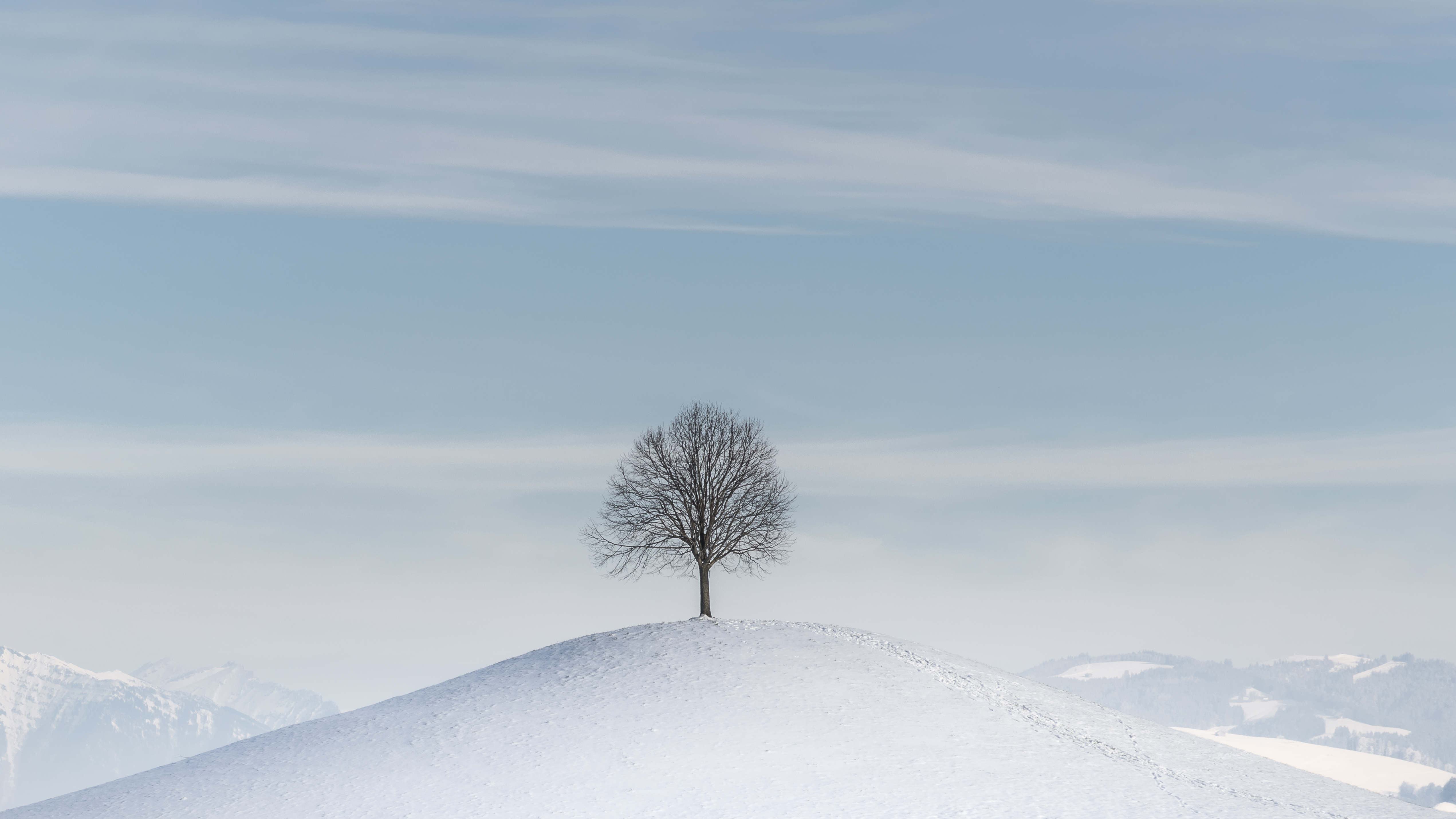 winter, minimalism, snow, wood, tree, hill 32K
