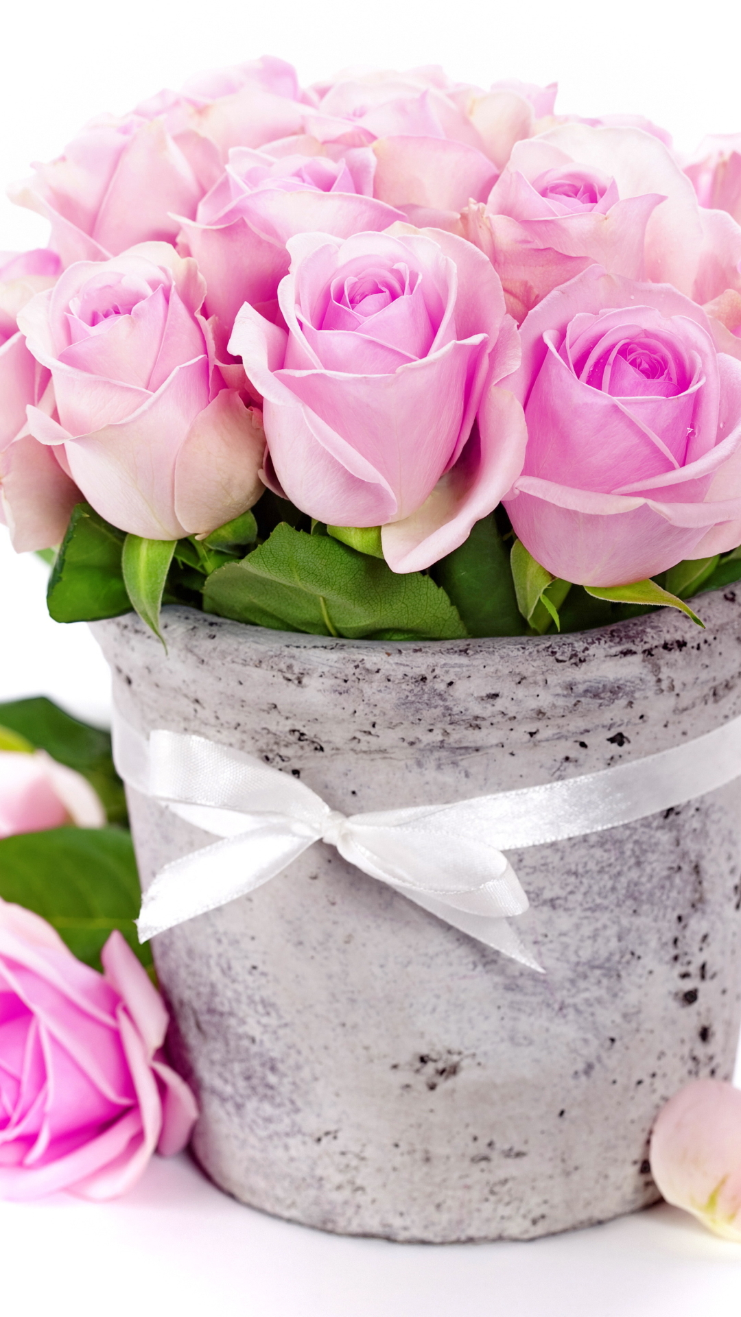 Handy-Wallpaper Blume, Rose, Vase, Fotografie, Pinke Blume, Stillleben kostenlos herunterladen.