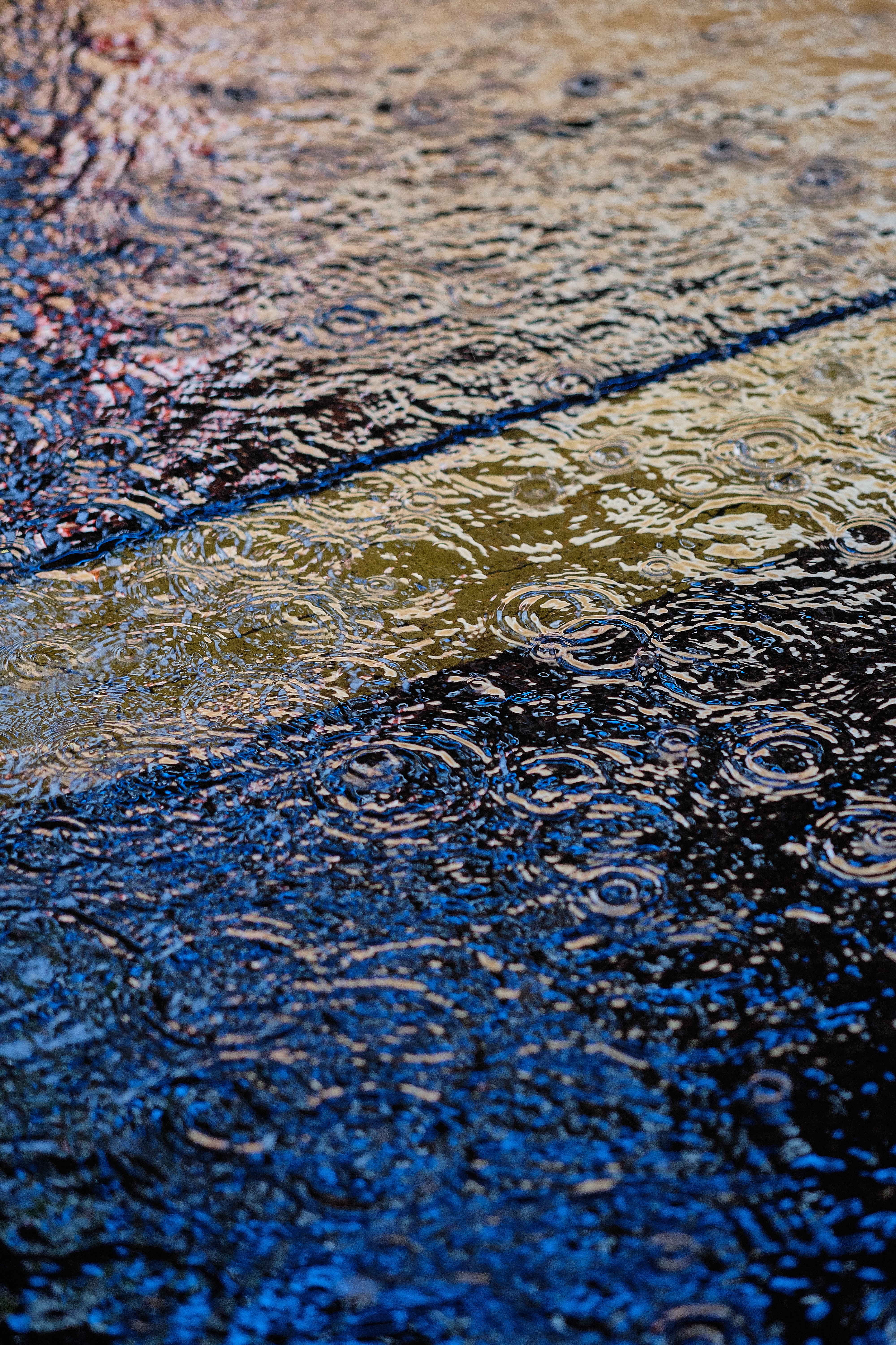 miscellaneous, miscellanea, water, waves, ripples, ripple, surface, puddle, raindrops