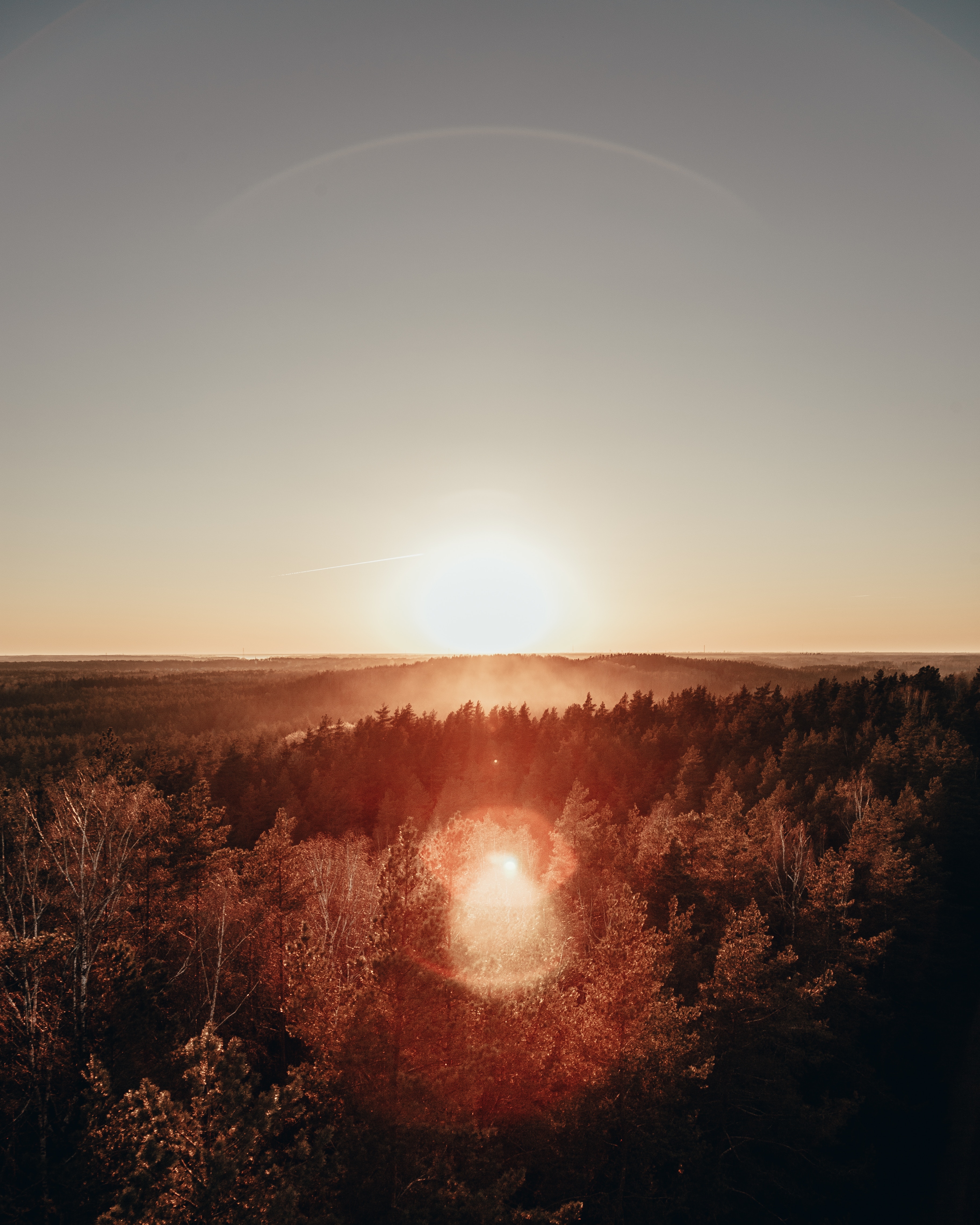 Free download wallpaper Nature, Sun, View From Above, Horizon, Glare, Forest, Fog, Dawn on your PC desktop