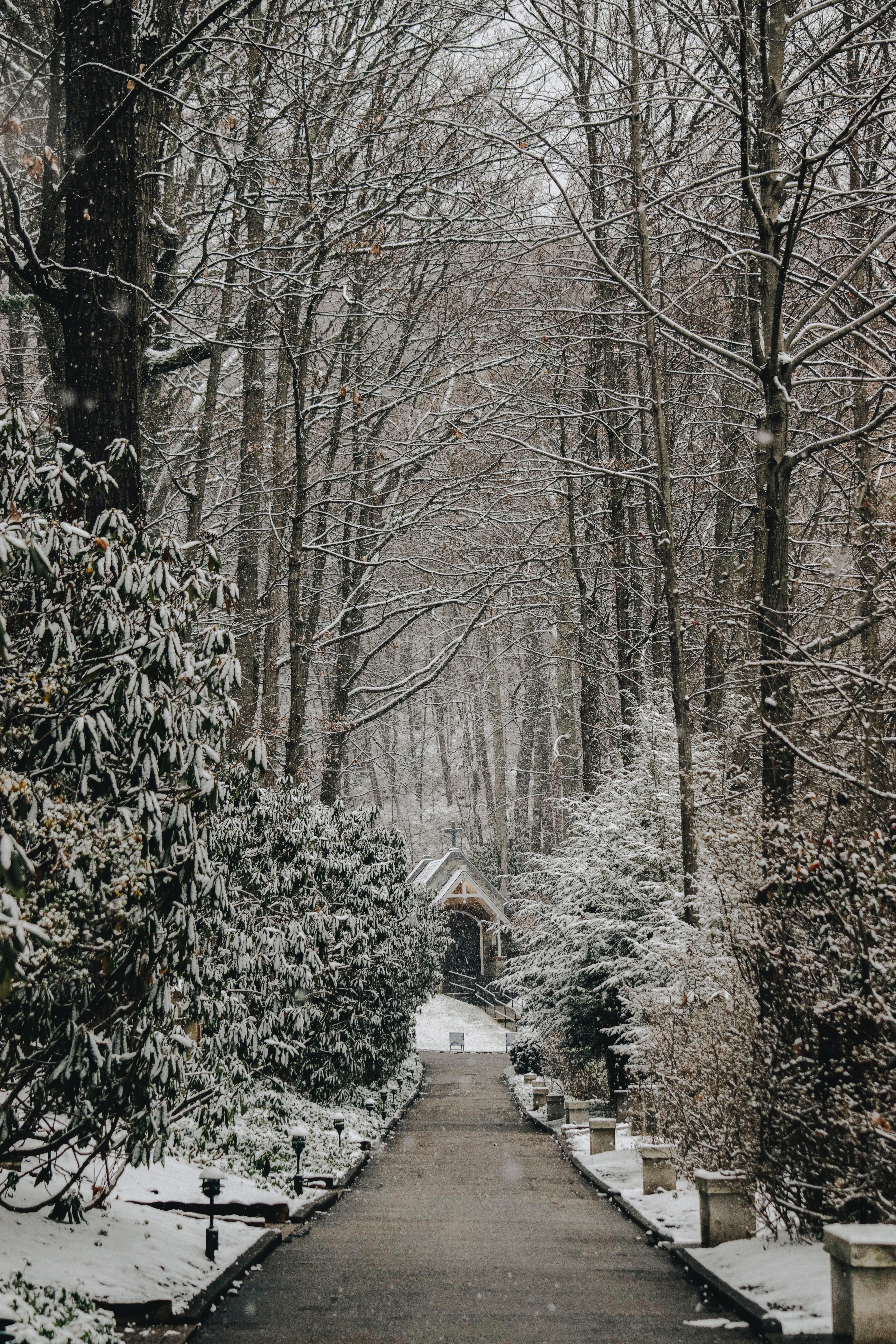 snowfall, nature, church, winter, trees, path UHD