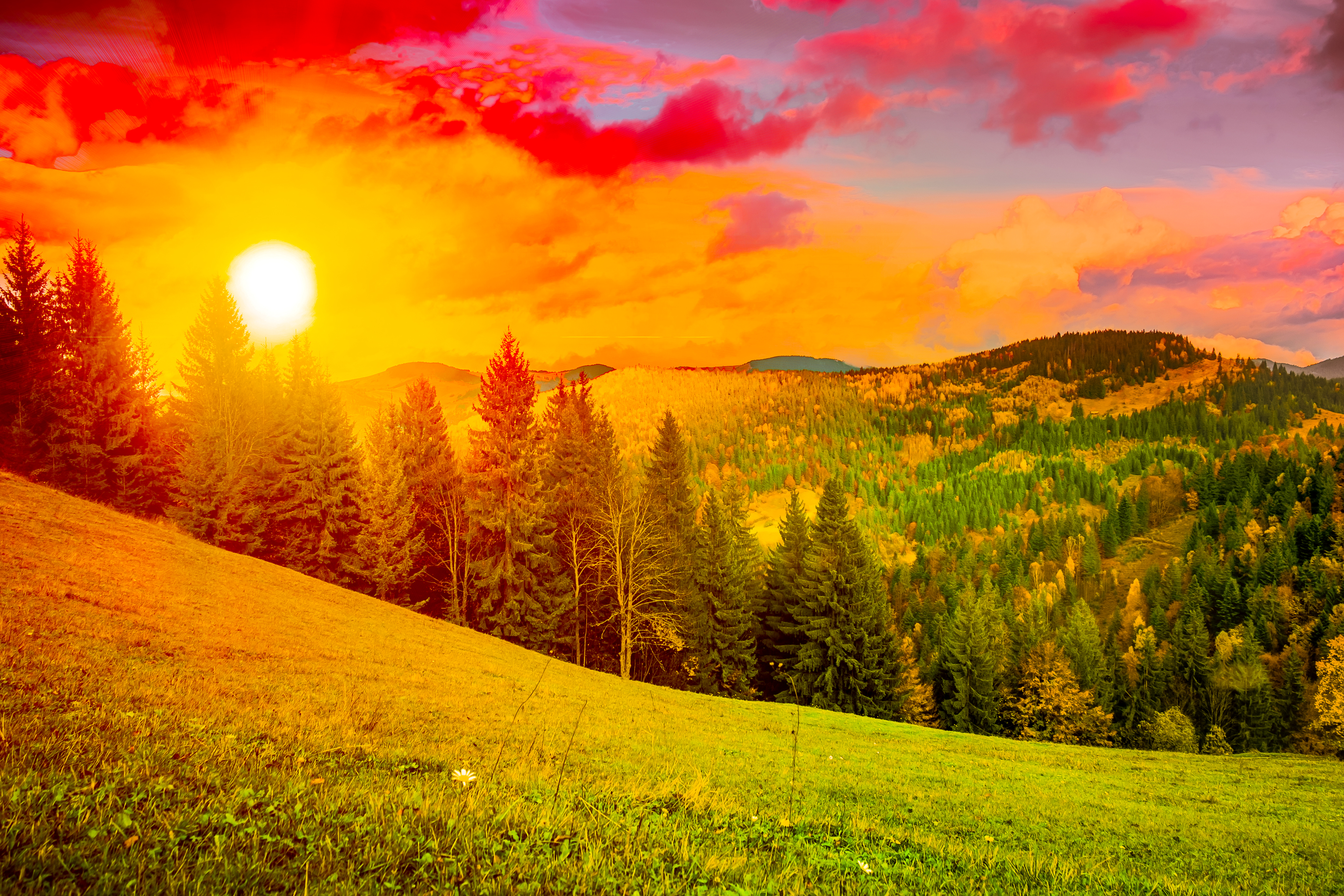 Téléchargez gratuitement l'image Coucher De Soleil, Montagne, Forêt, Arbre, Terre/nature sur le bureau de votre PC