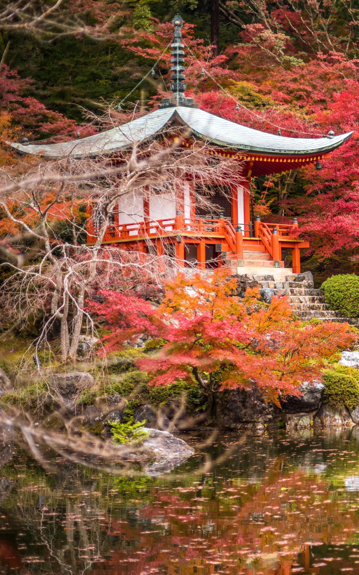Handy-Wallpaper Natur, Park, Pagode, Japan, Tempel, Schrein, Religiös, Kyōto, Japanischer Garten, Daigo Ji kostenlos herunterladen.