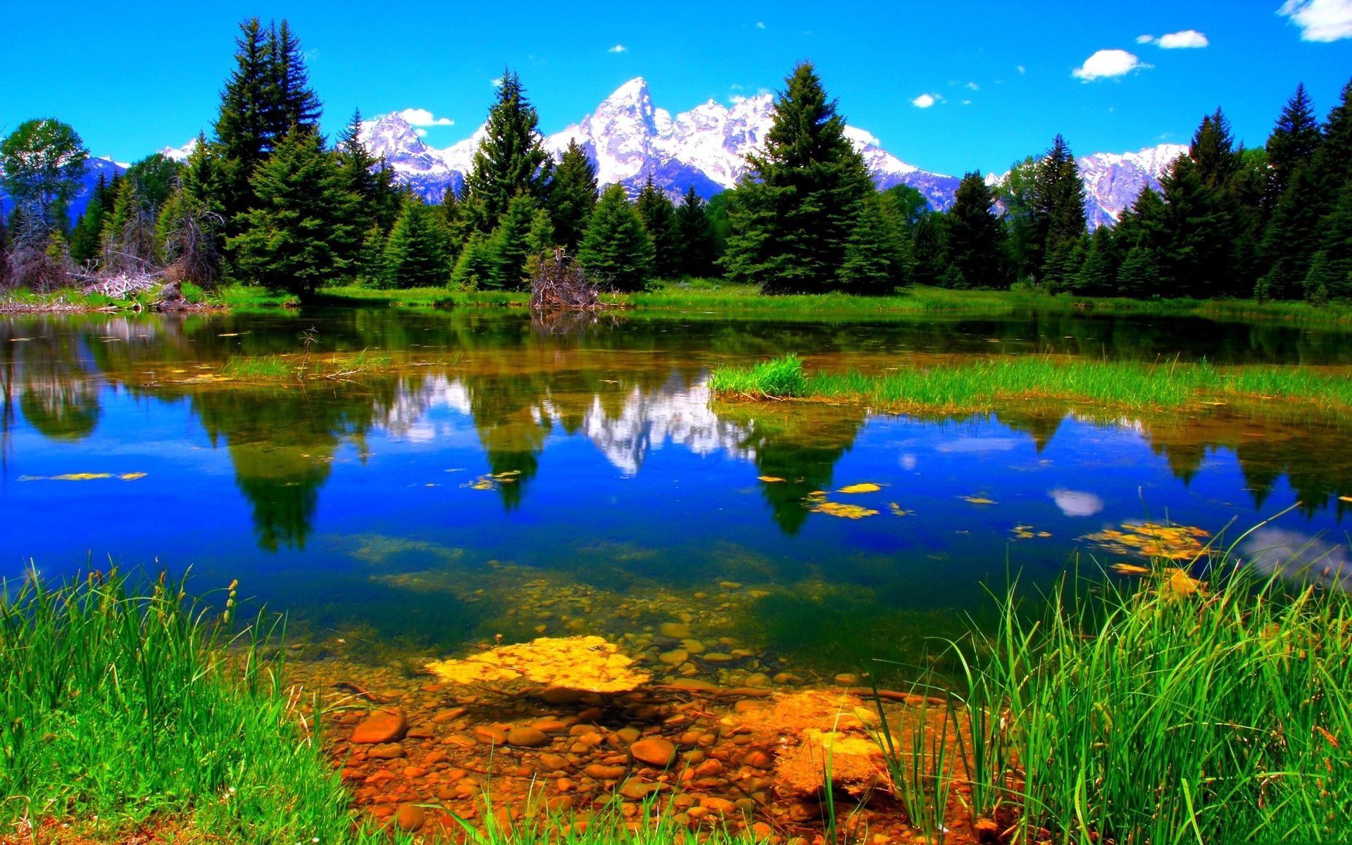 132857 скачать обои озеро, пейзаж, природа, растительность, зеленый - заставки и картинки бесплатно