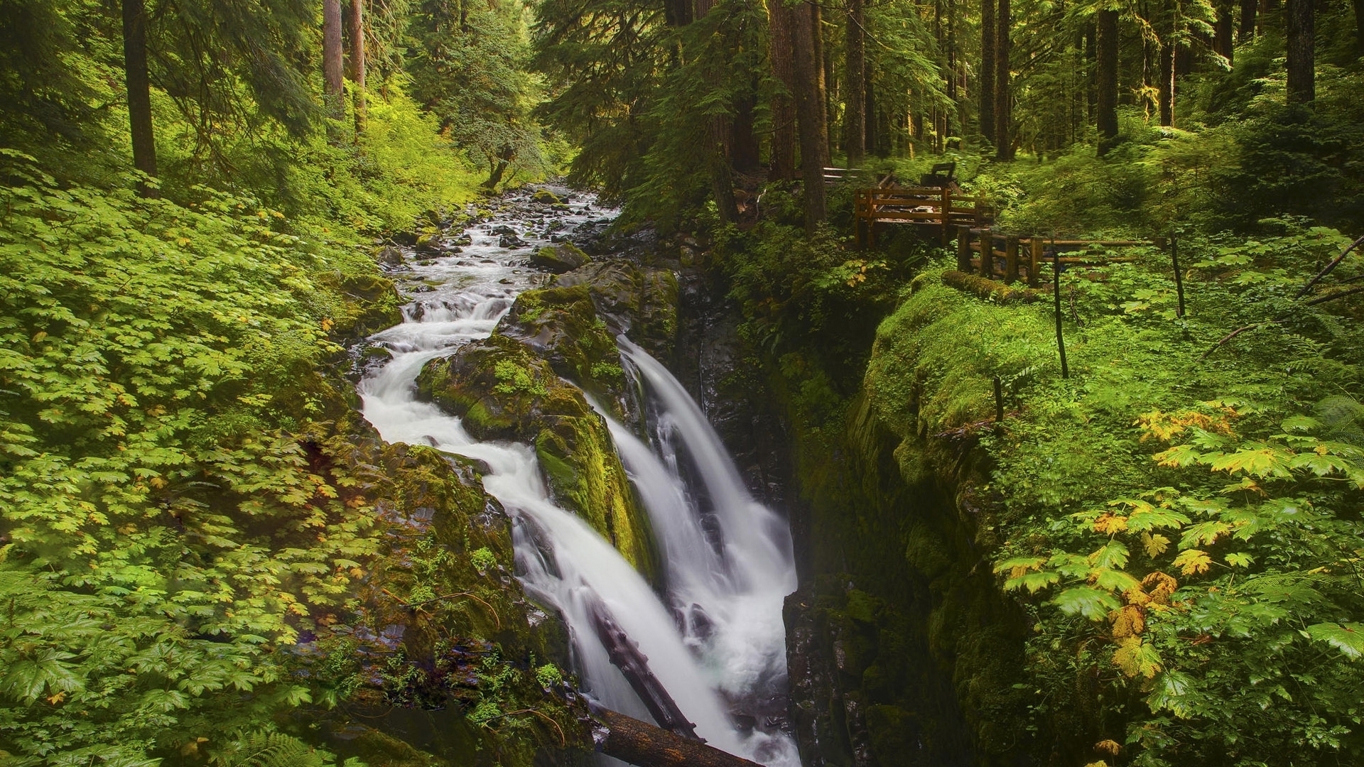 Handy-Wallpaper Fluss, Strom, Szene, Wasserfall, Wasserfälle, Wald, Erde/natur, Landschaft kostenlos herunterladen.