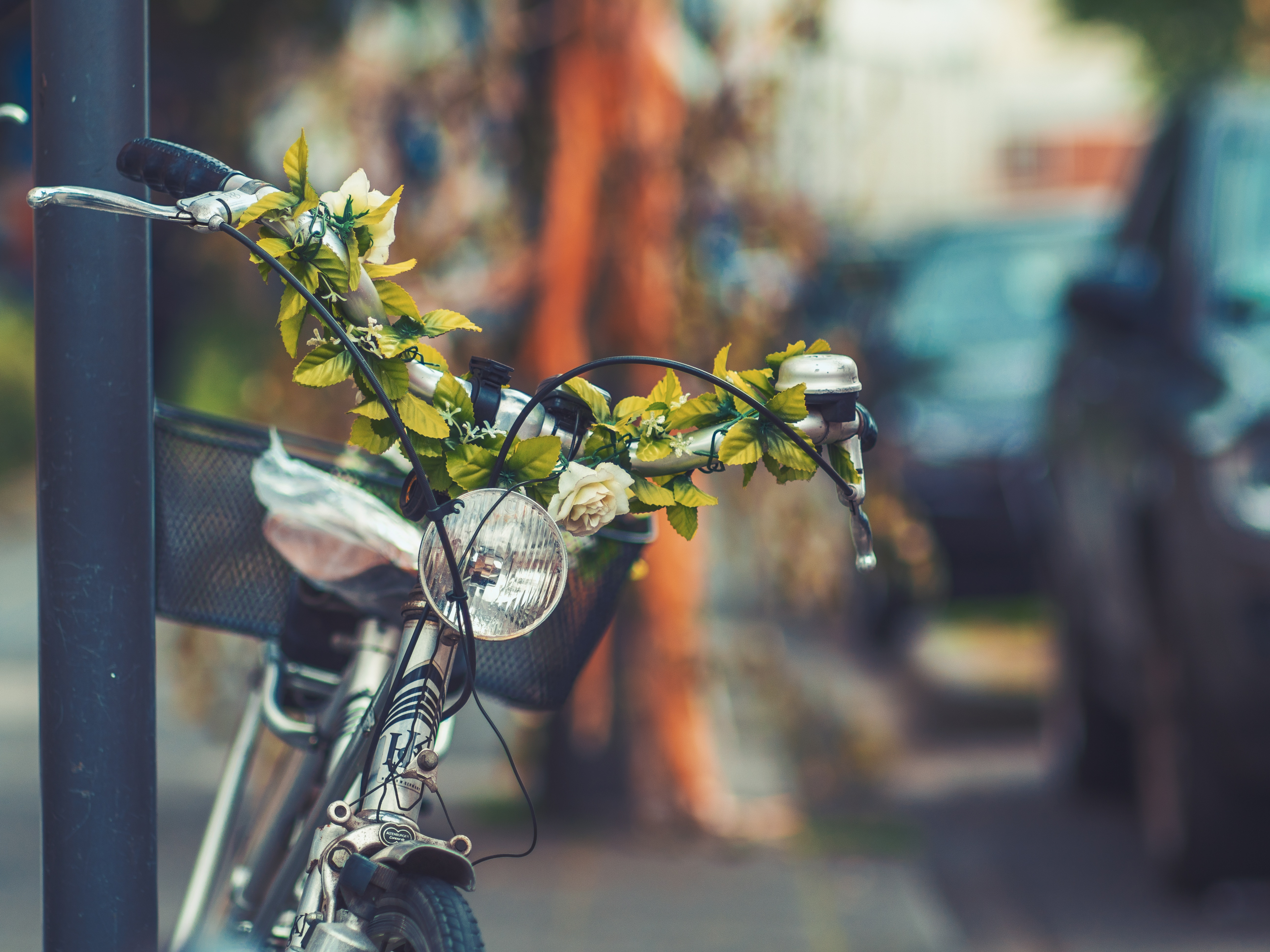 Free download wallpaper Miscellanea, Flowers, Miscellaneous, Headlight, Bicycle on your PC desktop