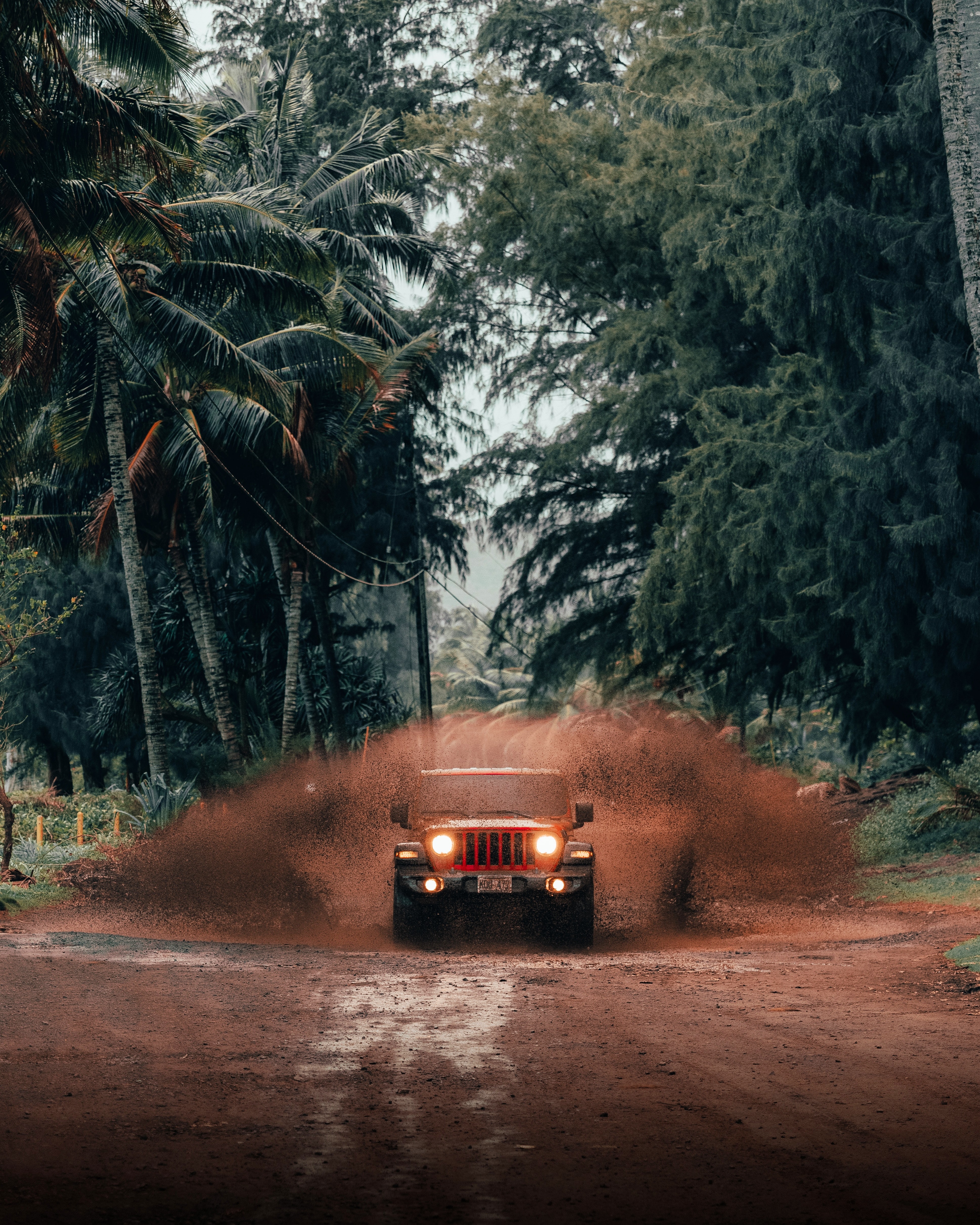 129505 скачать картинку jeep wrangler, тропики, тачки (cars), красный, автомобиль, внедорожник, jeep - обои и заставки бесплатно