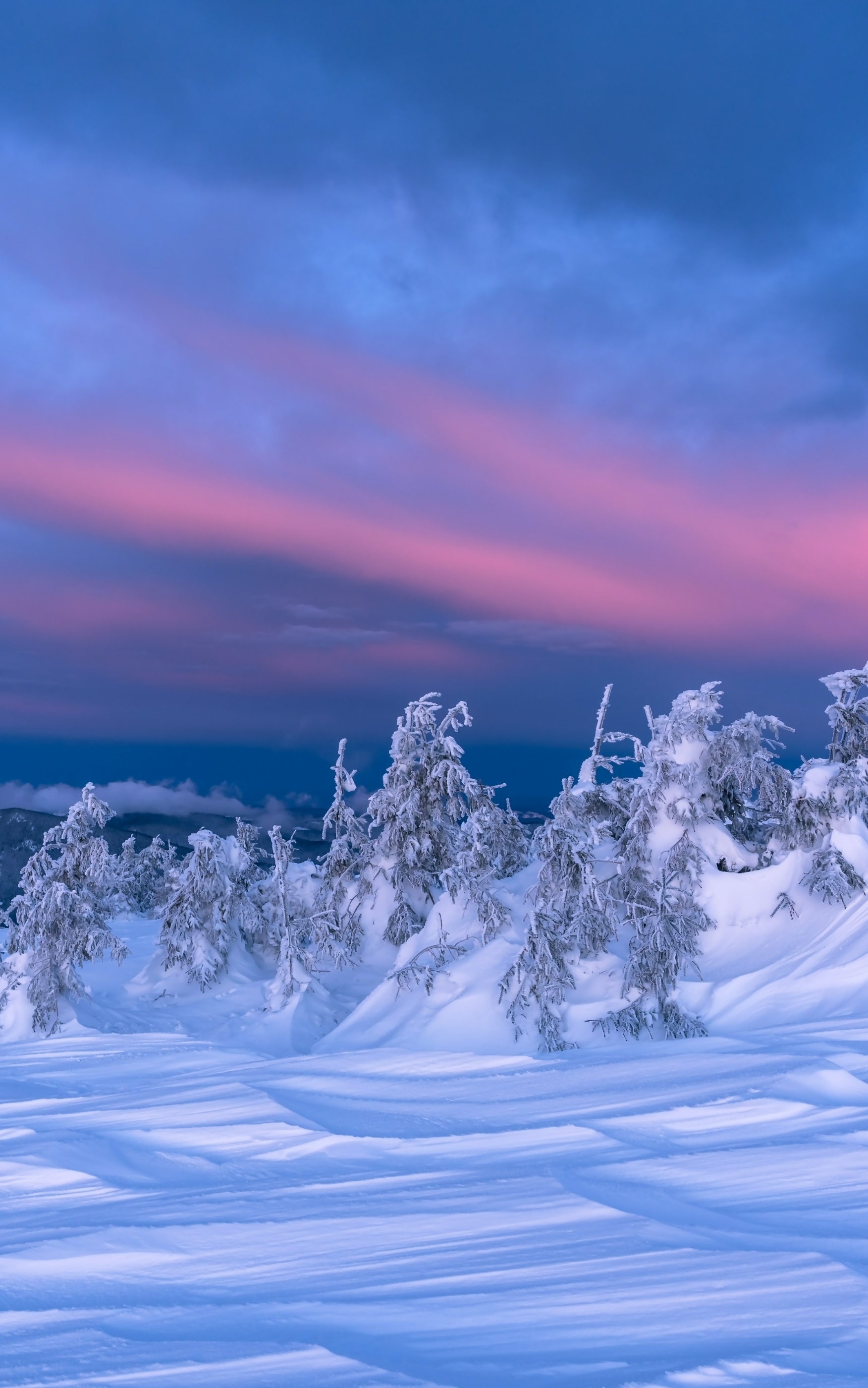 Handy-Wallpaper Winter, Schnee, Erde/natur kostenlos herunterladen.