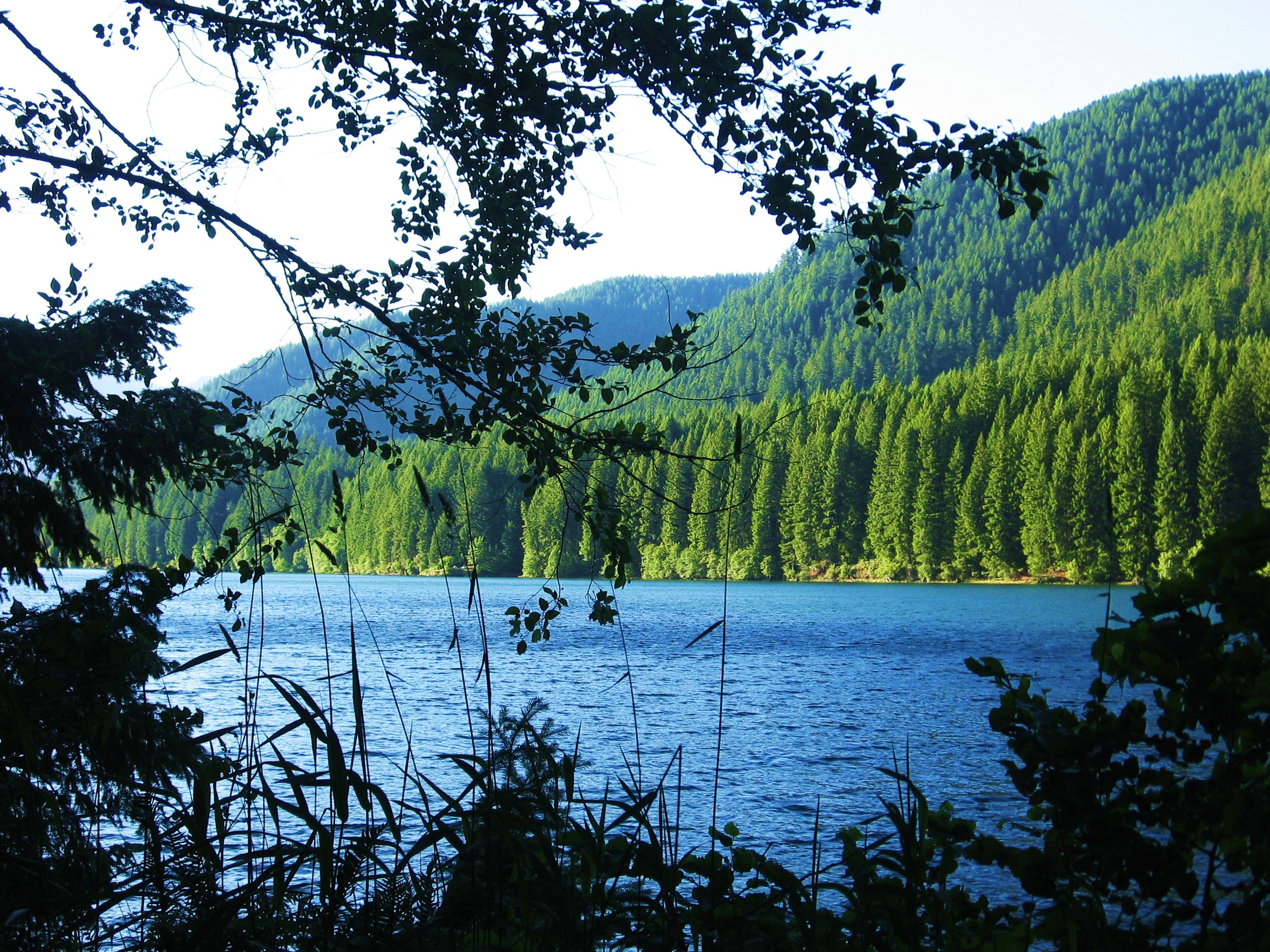 Free download wallpaper Lake, Branches, Nature, Mountains, Forest, Landscape on your PC desktop