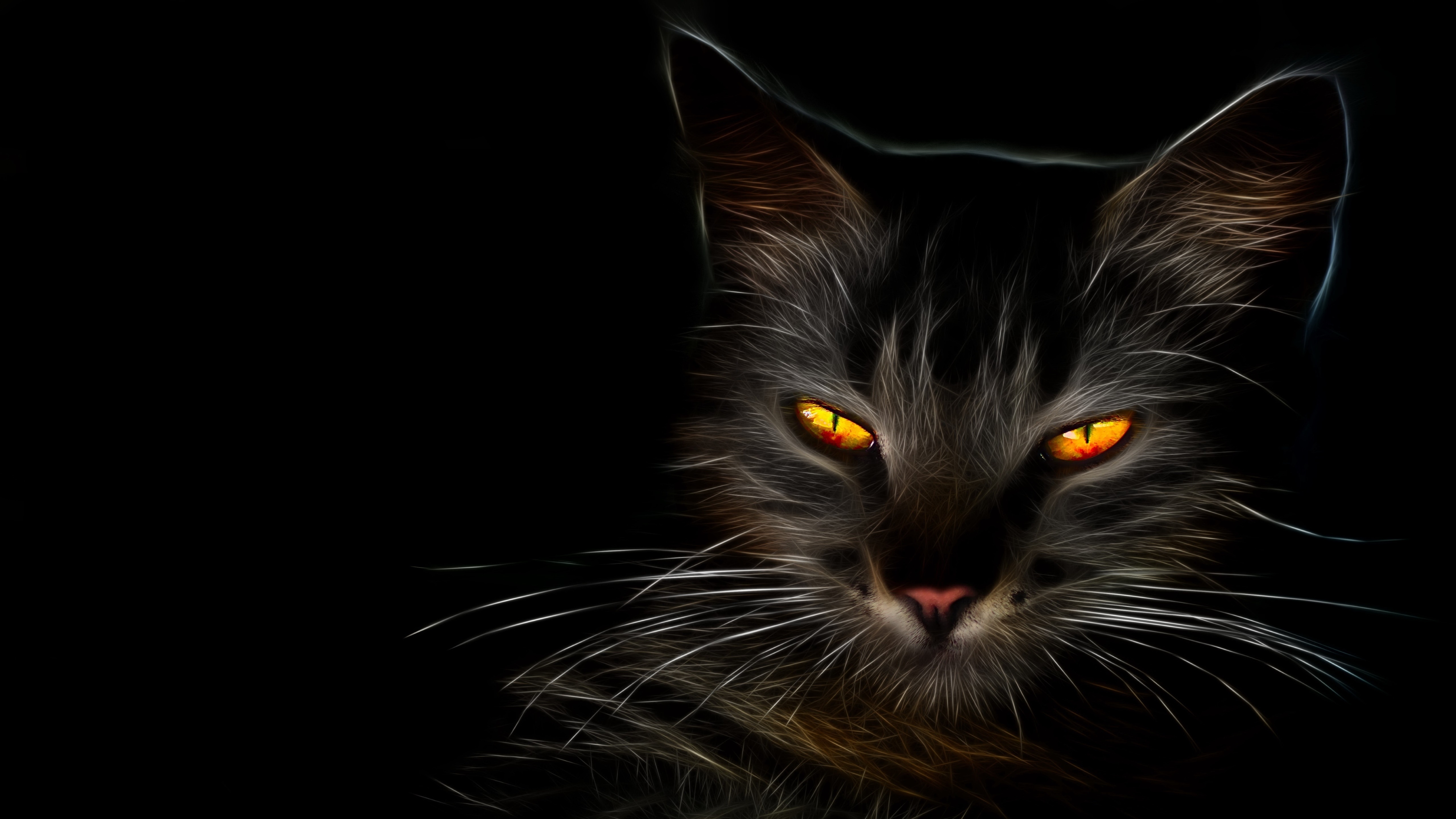 Baixe gratuitamente a imagem Animais, Gatos, Gato, Olhos Amarelos na área de trabalho do seu PC