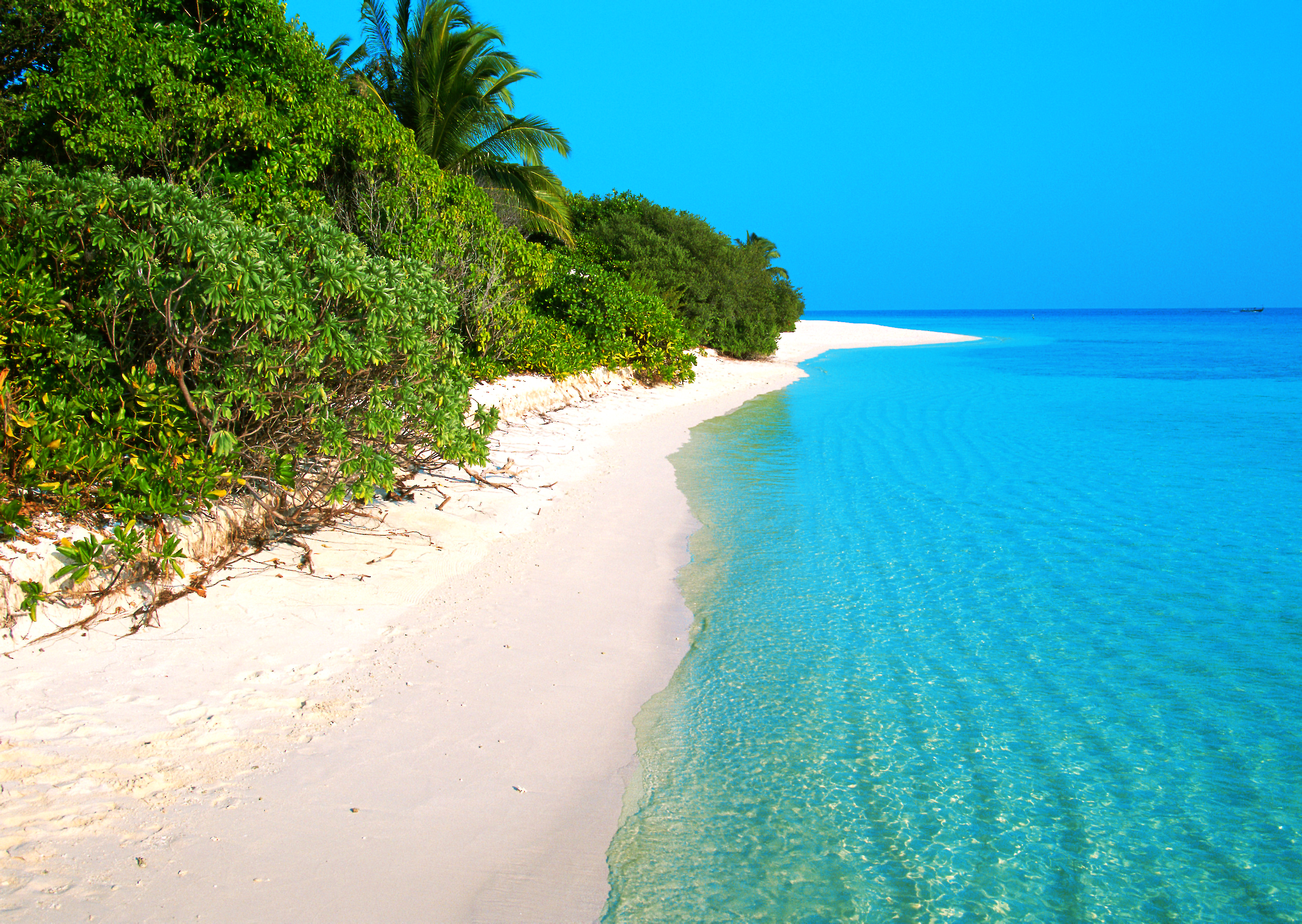Download mobile wallpaper Beach, Ocean, Earth for free.