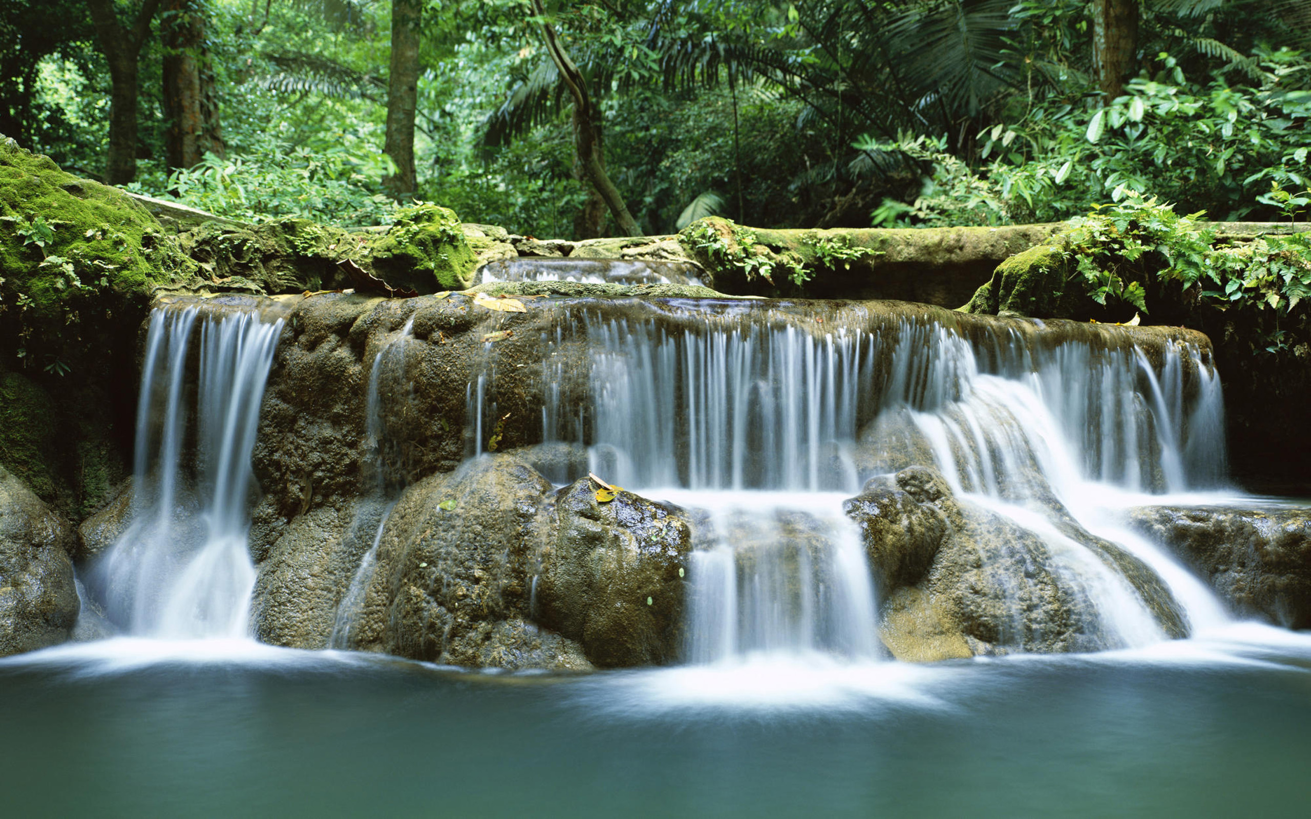 Free download wallpaper Waterfalls, Waterfall, Forest, Earth on your PC desktop