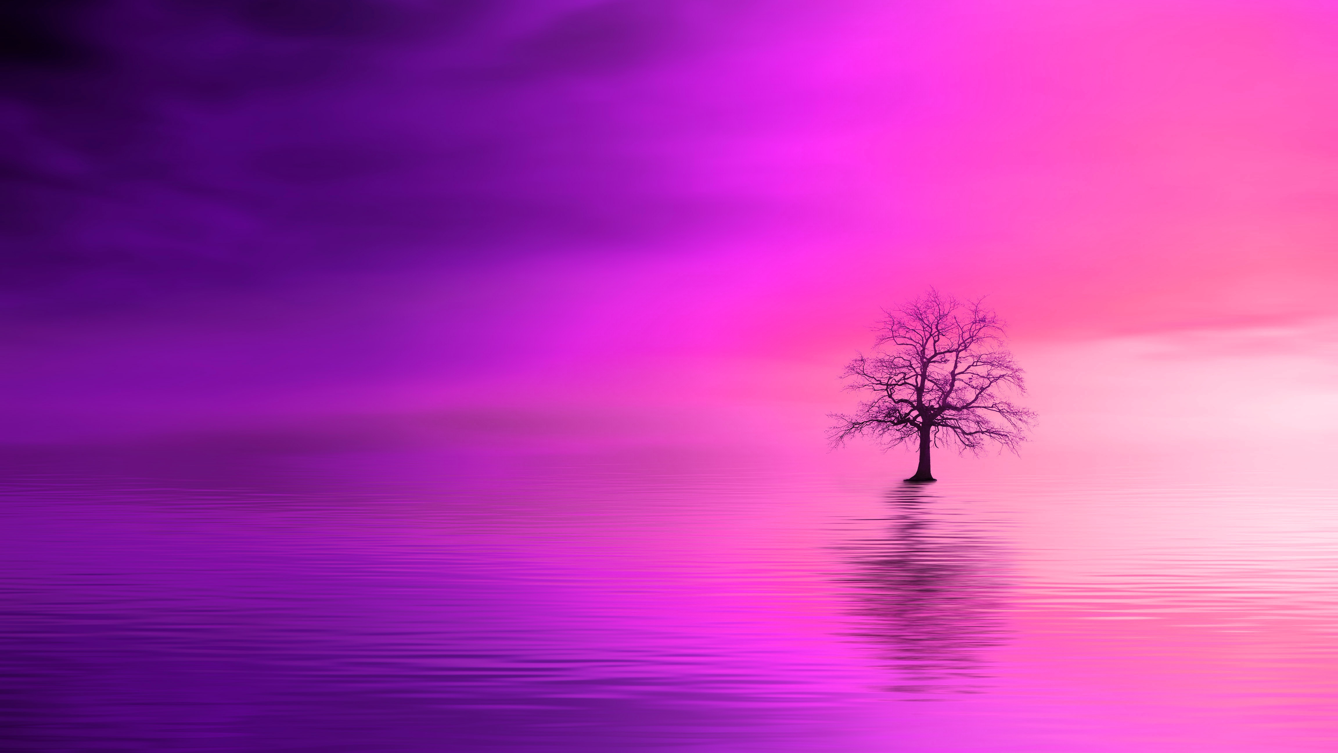 Download mobile wallpaper Wood, Tree, Horizon, Lonely, Pink, Minimalism, Alone for free.