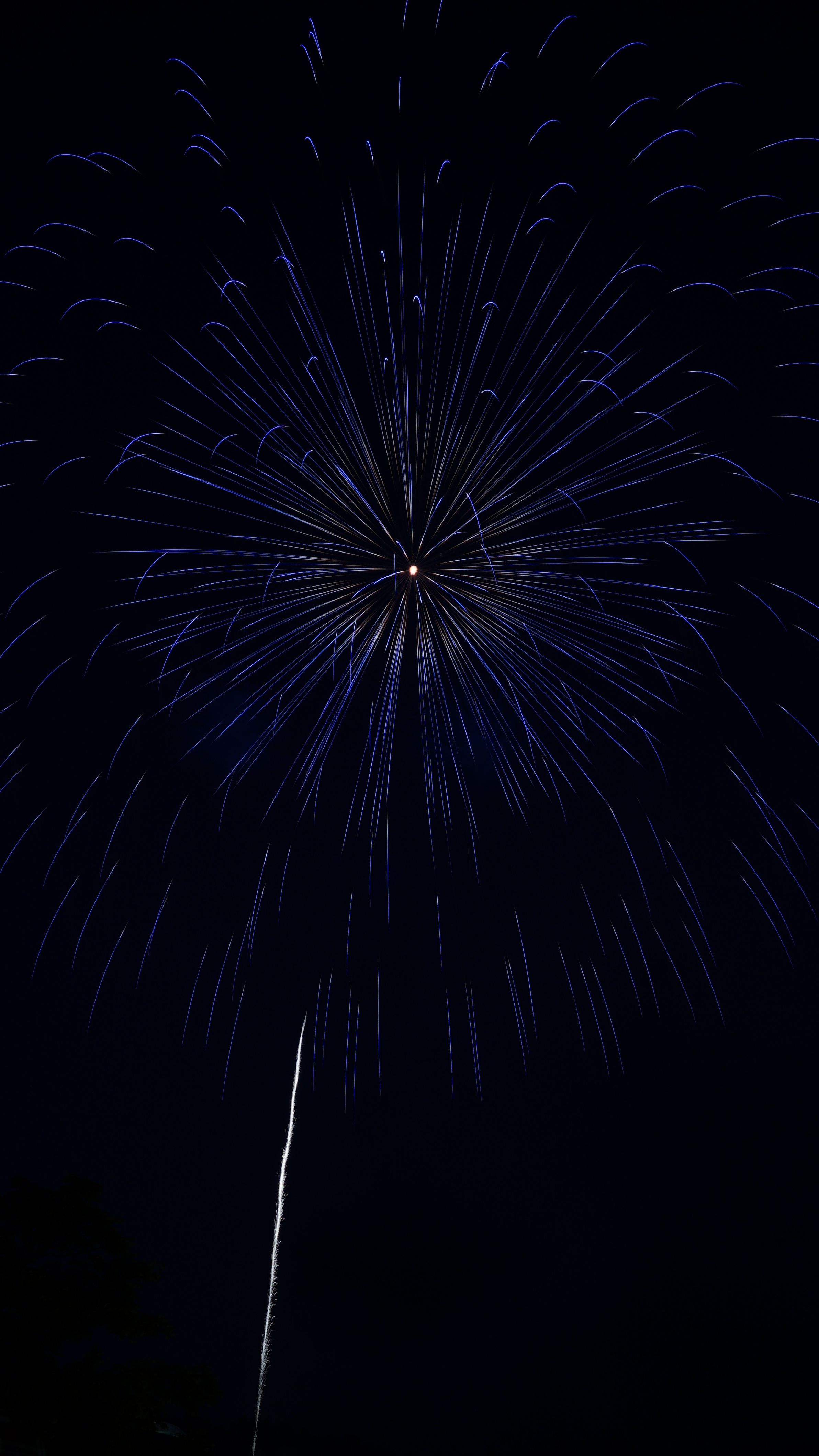 fireworks, celebration, holidays, salute, sparks, holiday, firework